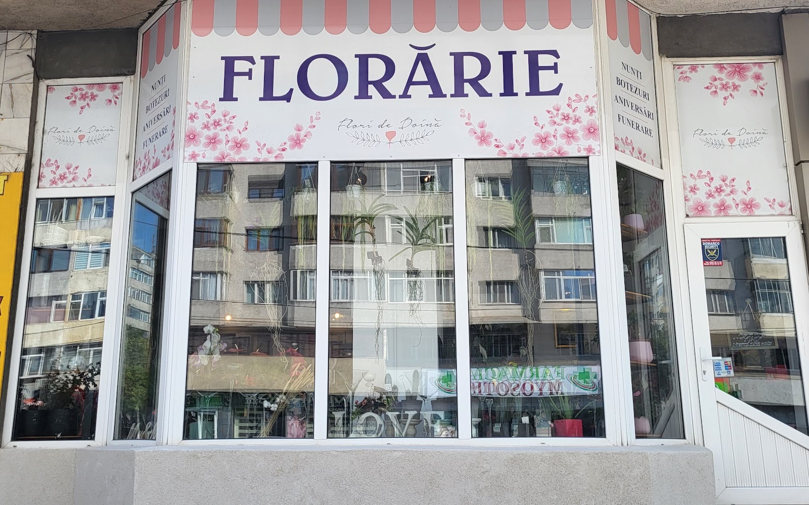 Floraria Flori de Doină