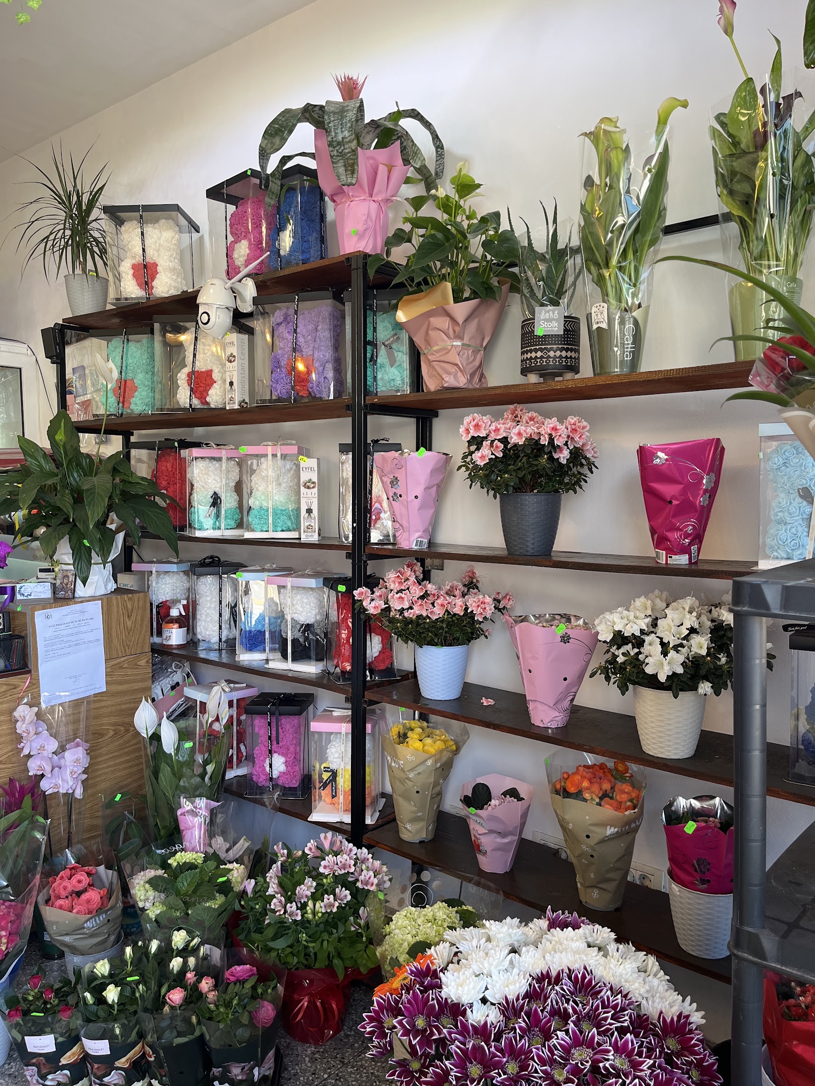 Florărie Ayan’s Flower Boutique