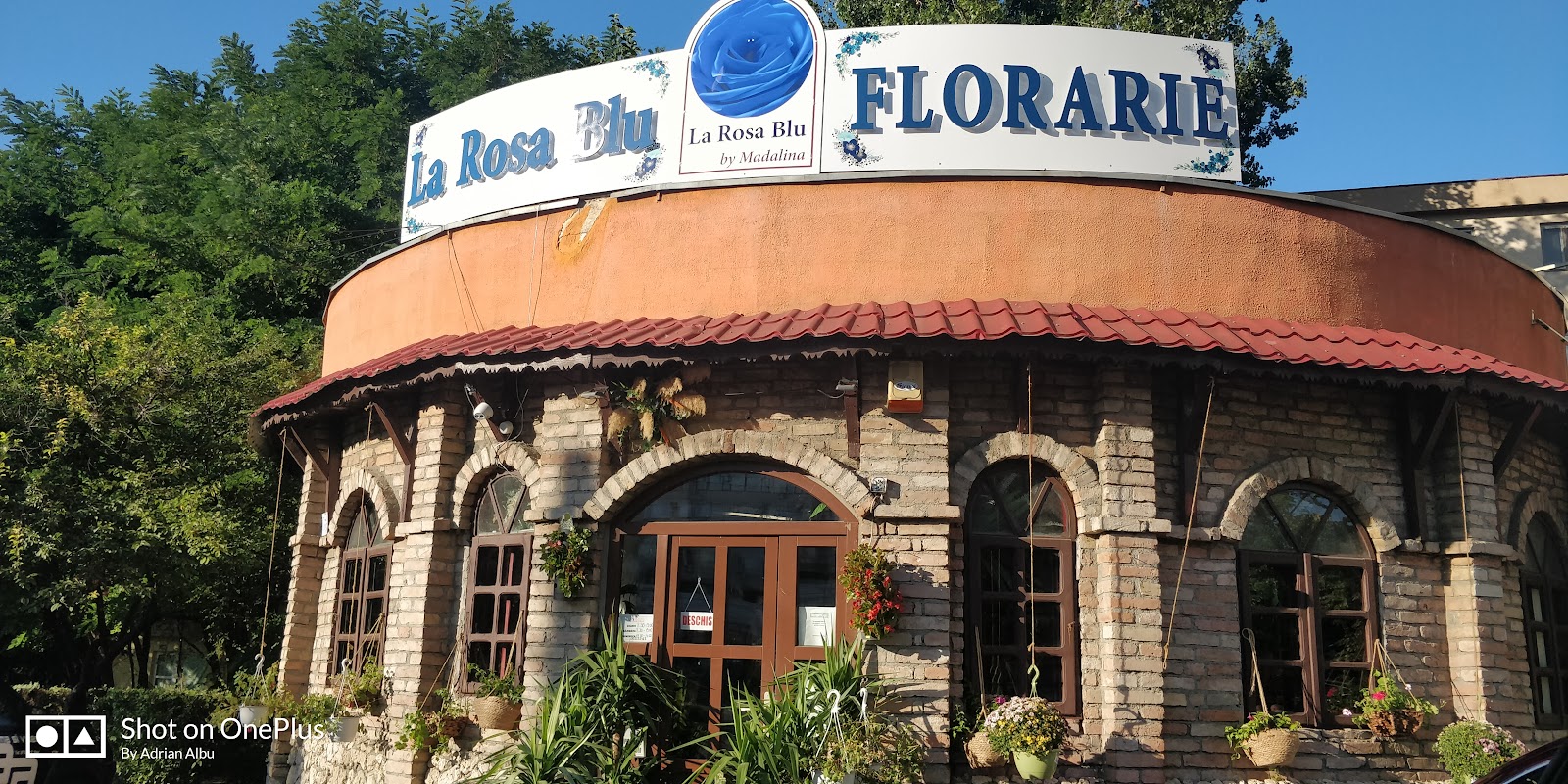 La Rosa Blu