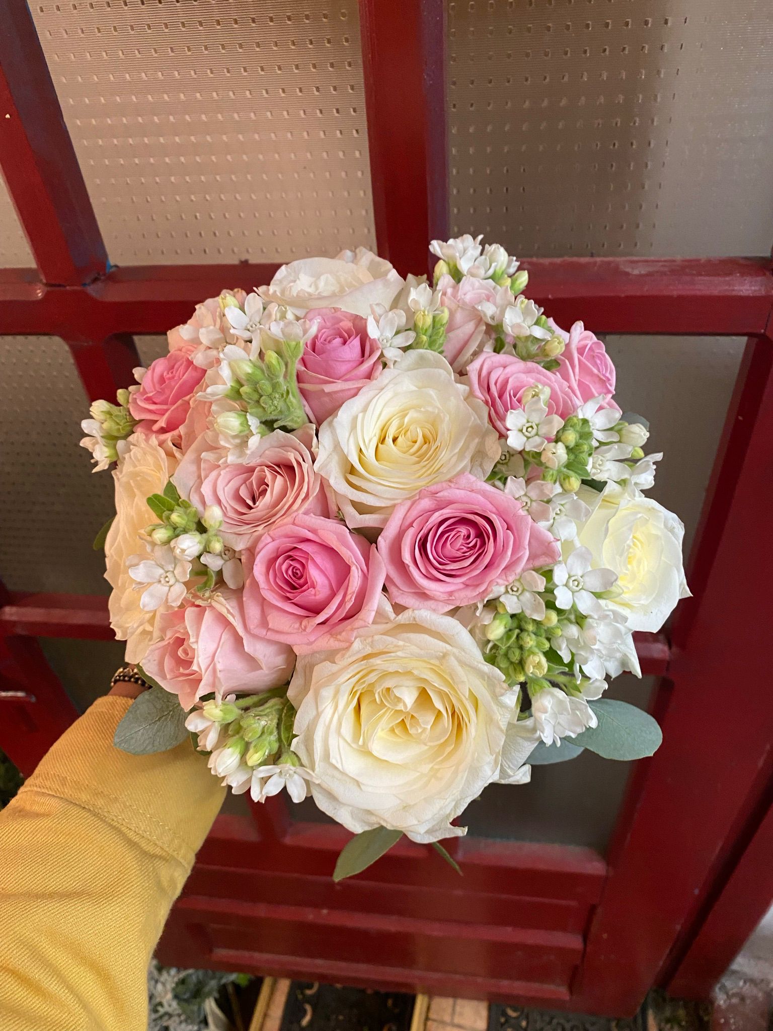 La Rosa Blu