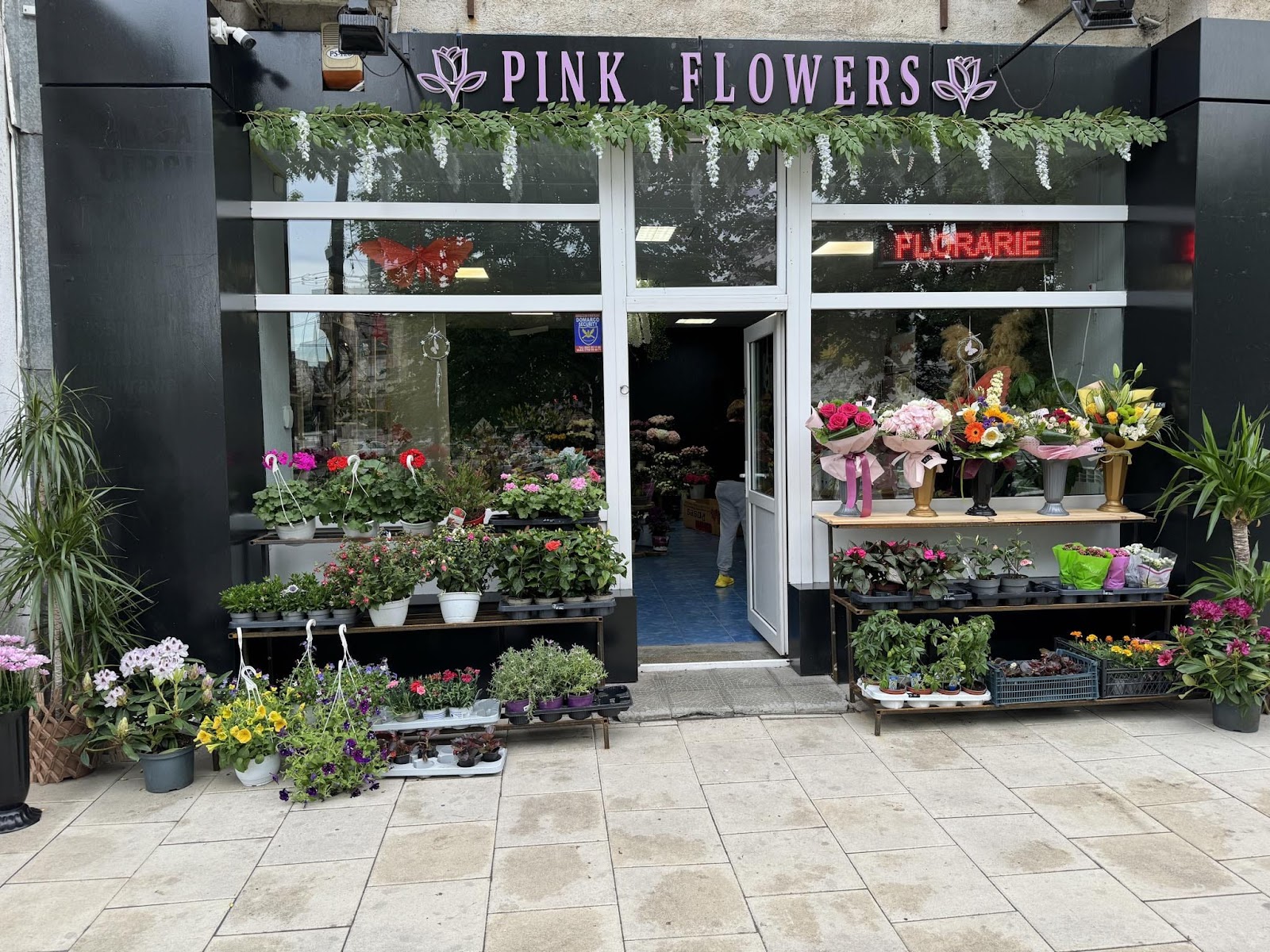 Pink Flowers