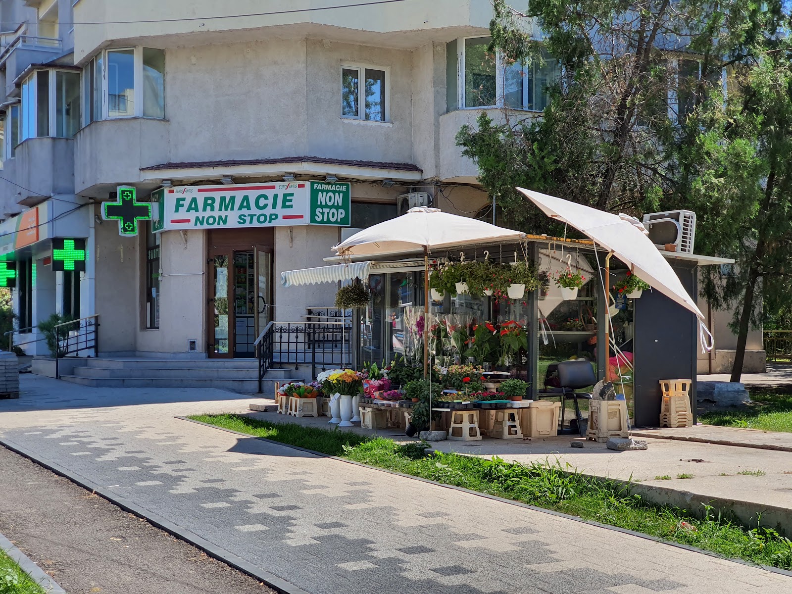 Floraria Maya Constanța