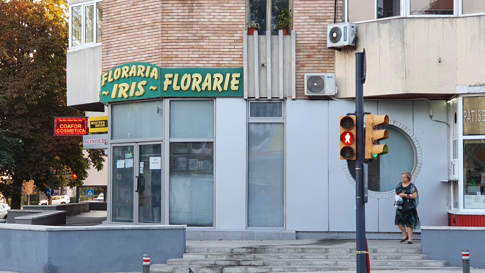 FLORĂRIA IRIS