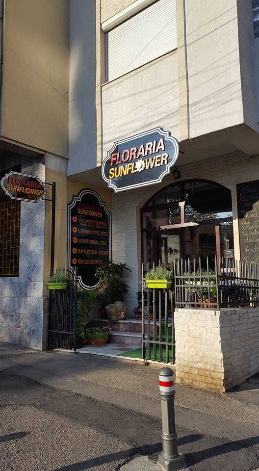 Floraria Sunflower