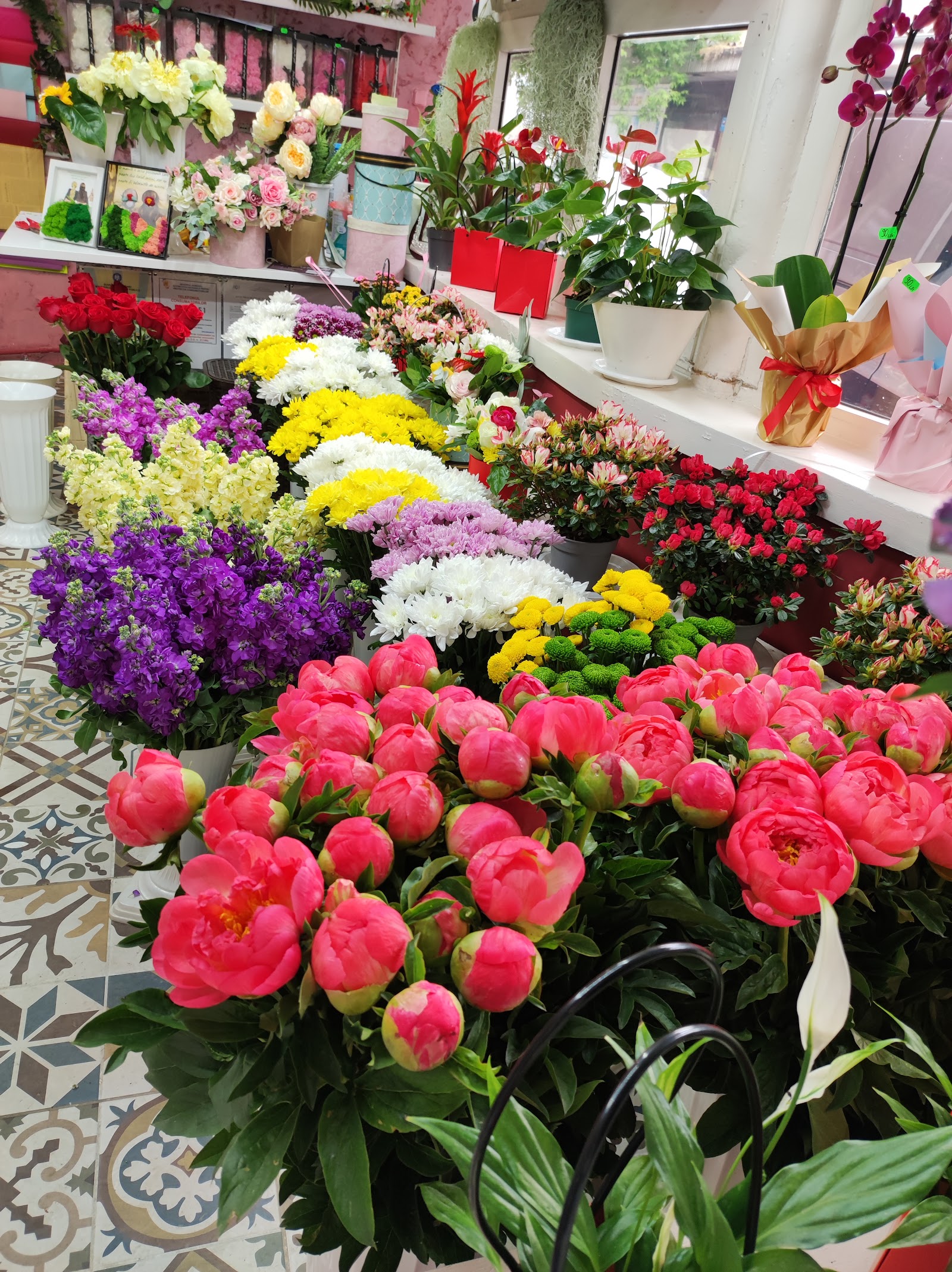 Florărie Ranya flowers