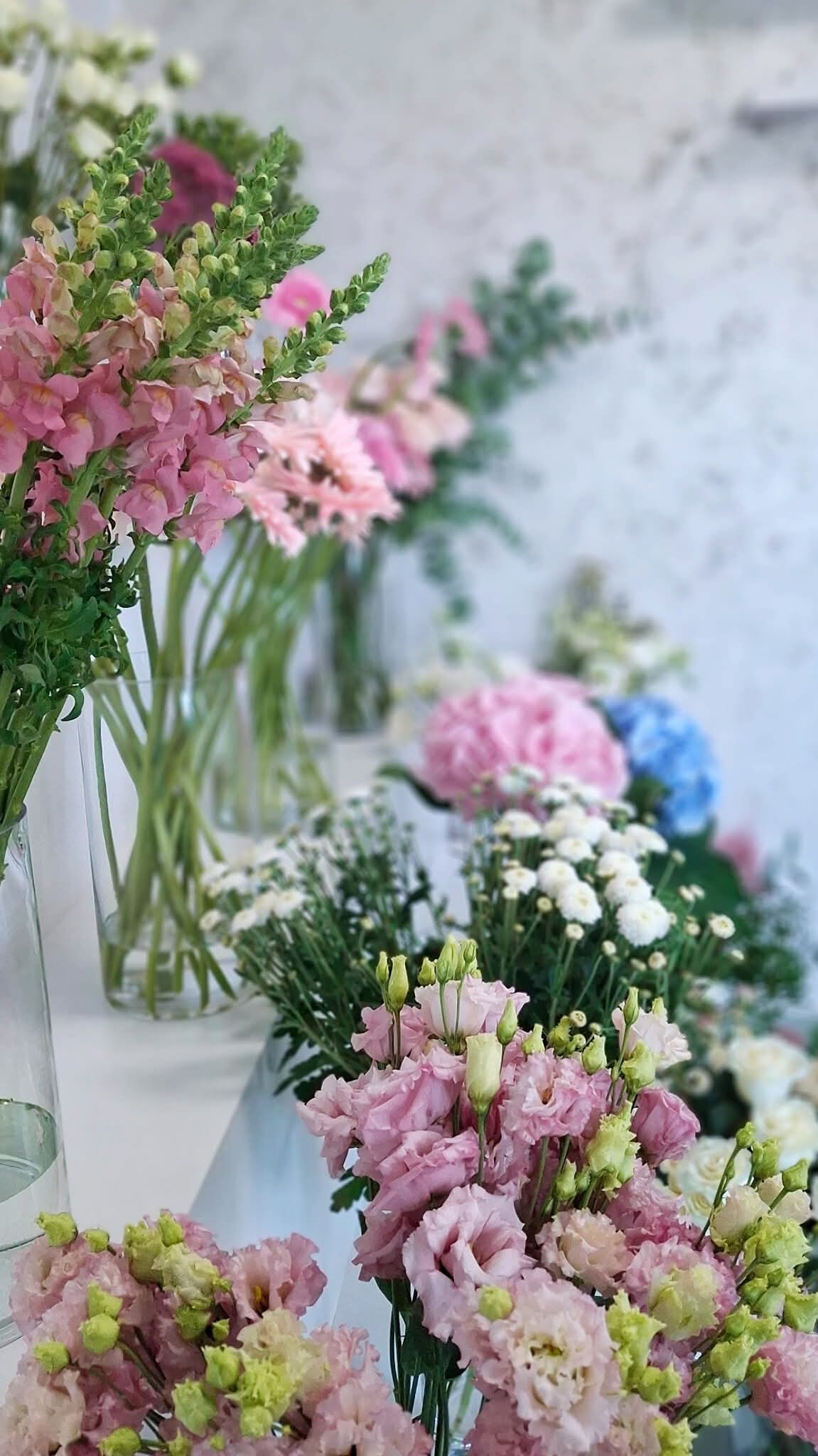 Joolia Flowers