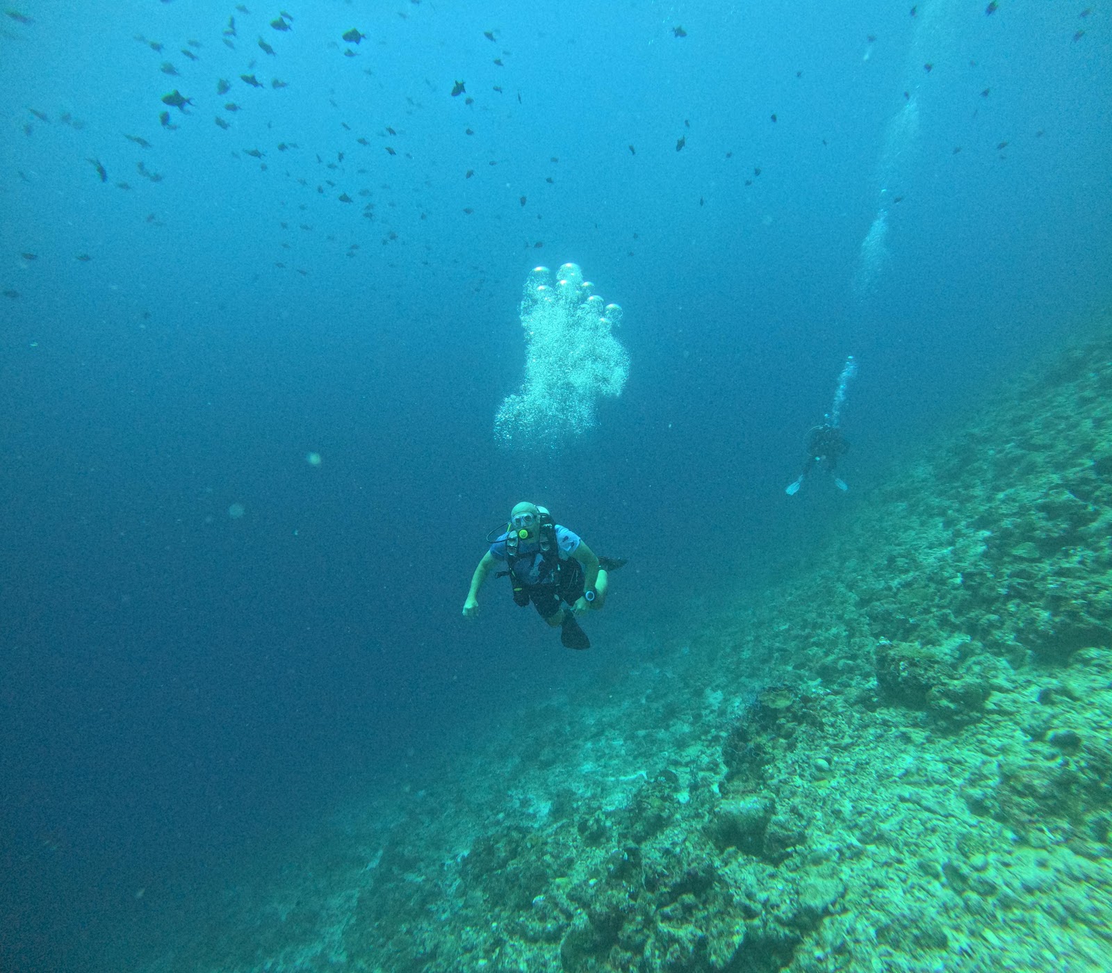 Agentia AquaMar Travel