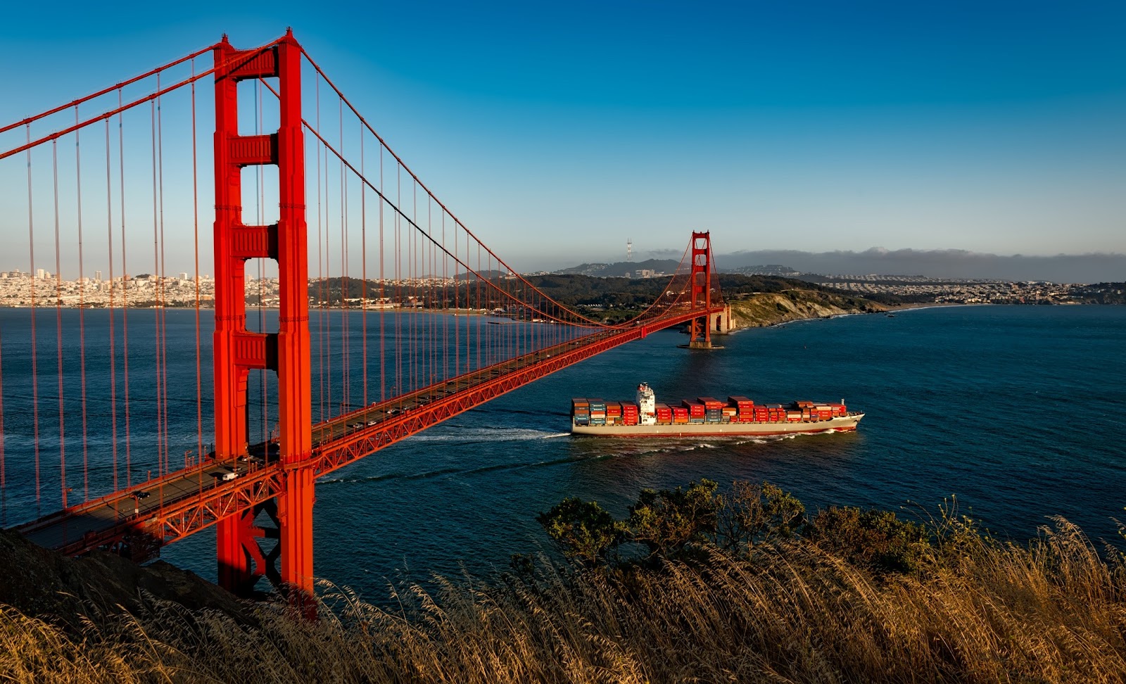 ALMA TRADE & TOURS S.R.L.