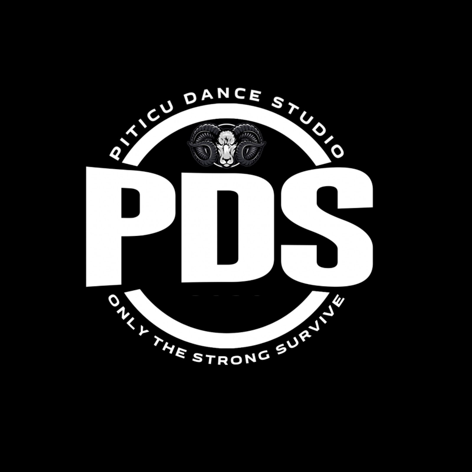 Piticu Dance Studio