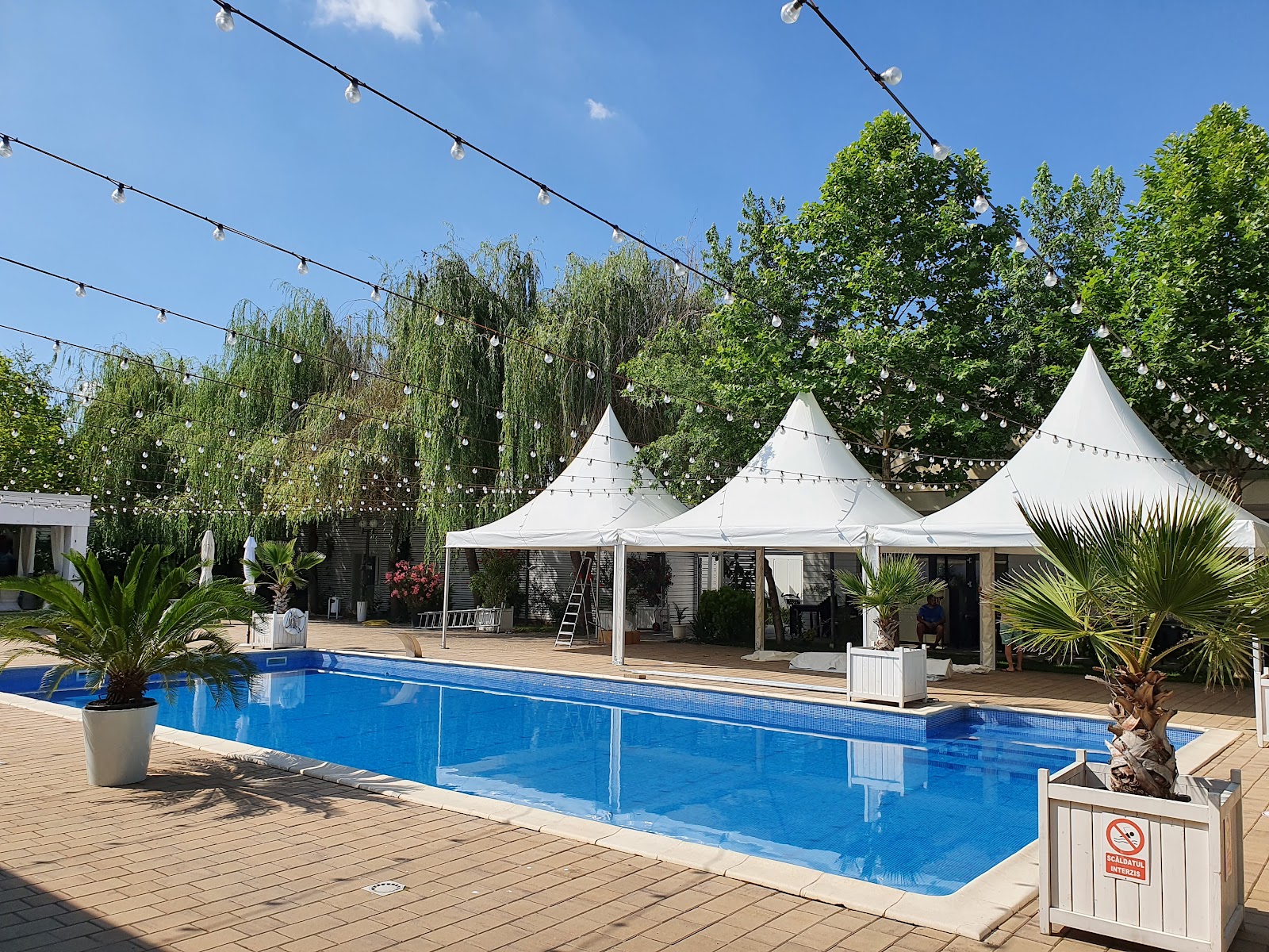 Reina Events