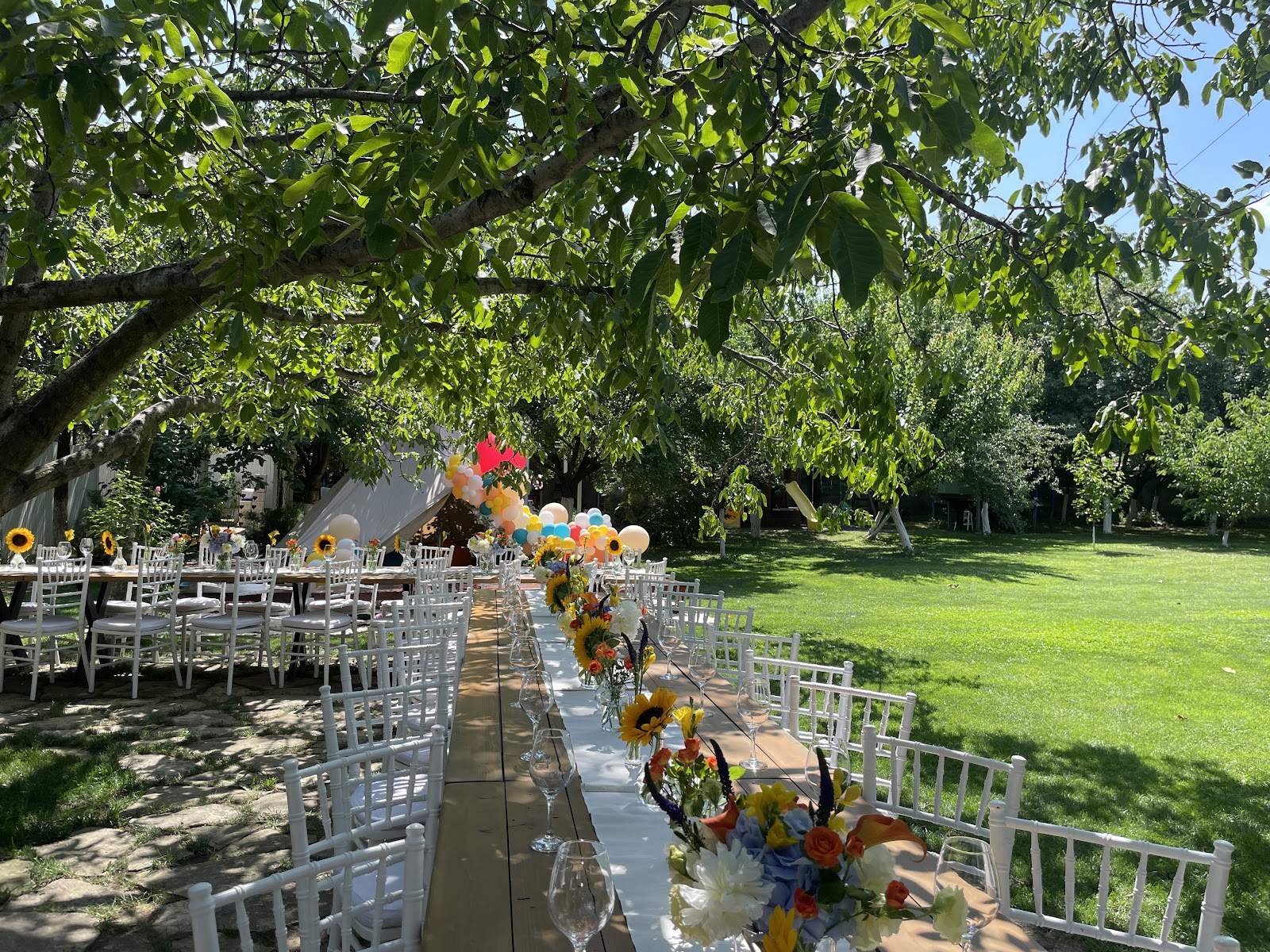 The Backyard
