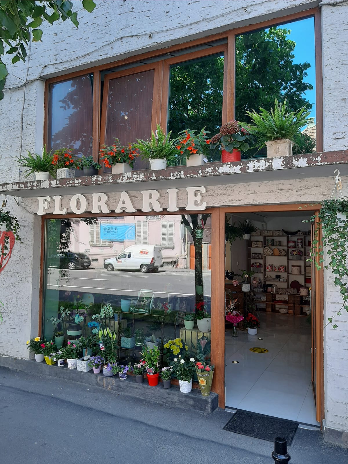 Essqual Flowers - florarie Brasov