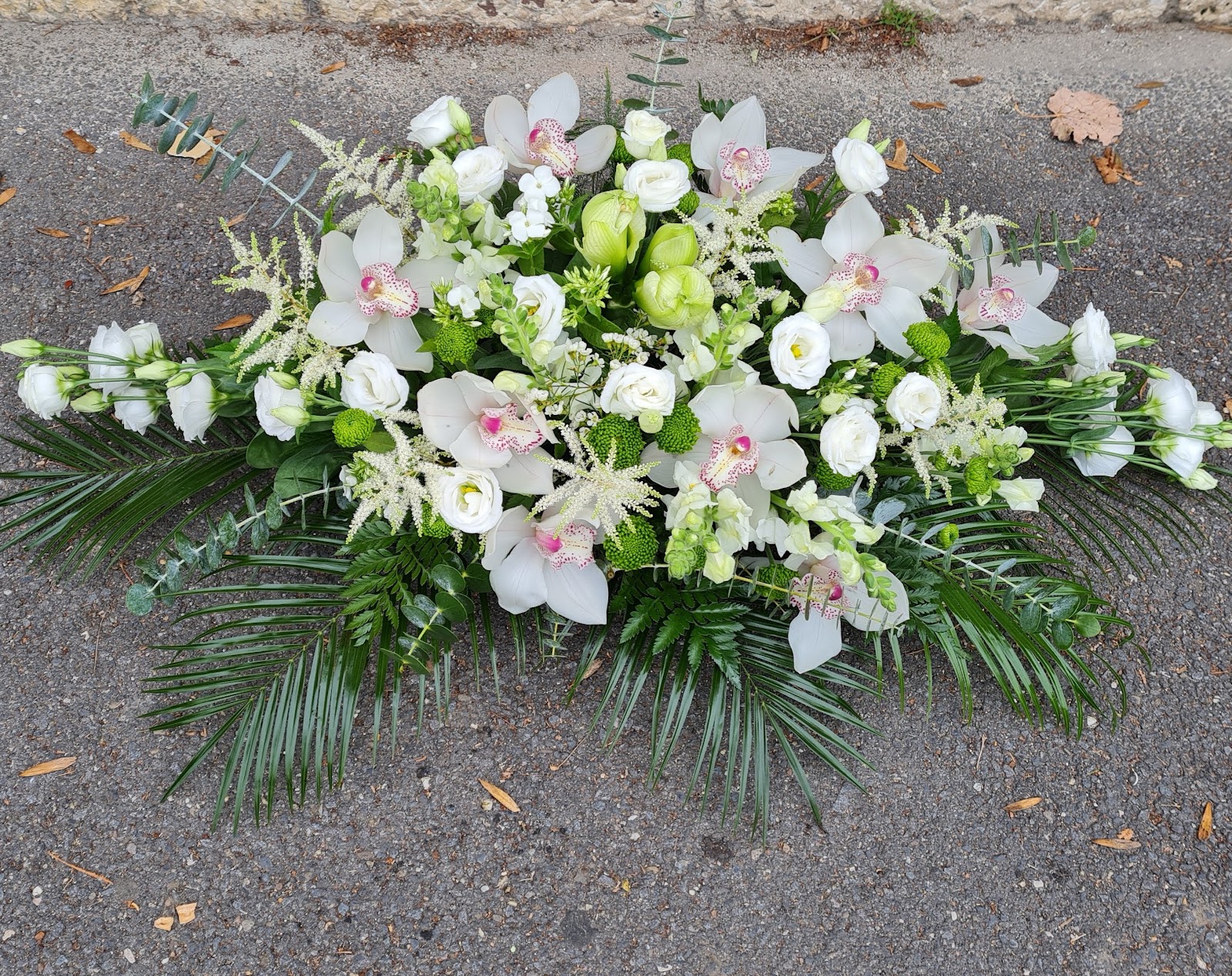Flora Trend - Florarie Brasov