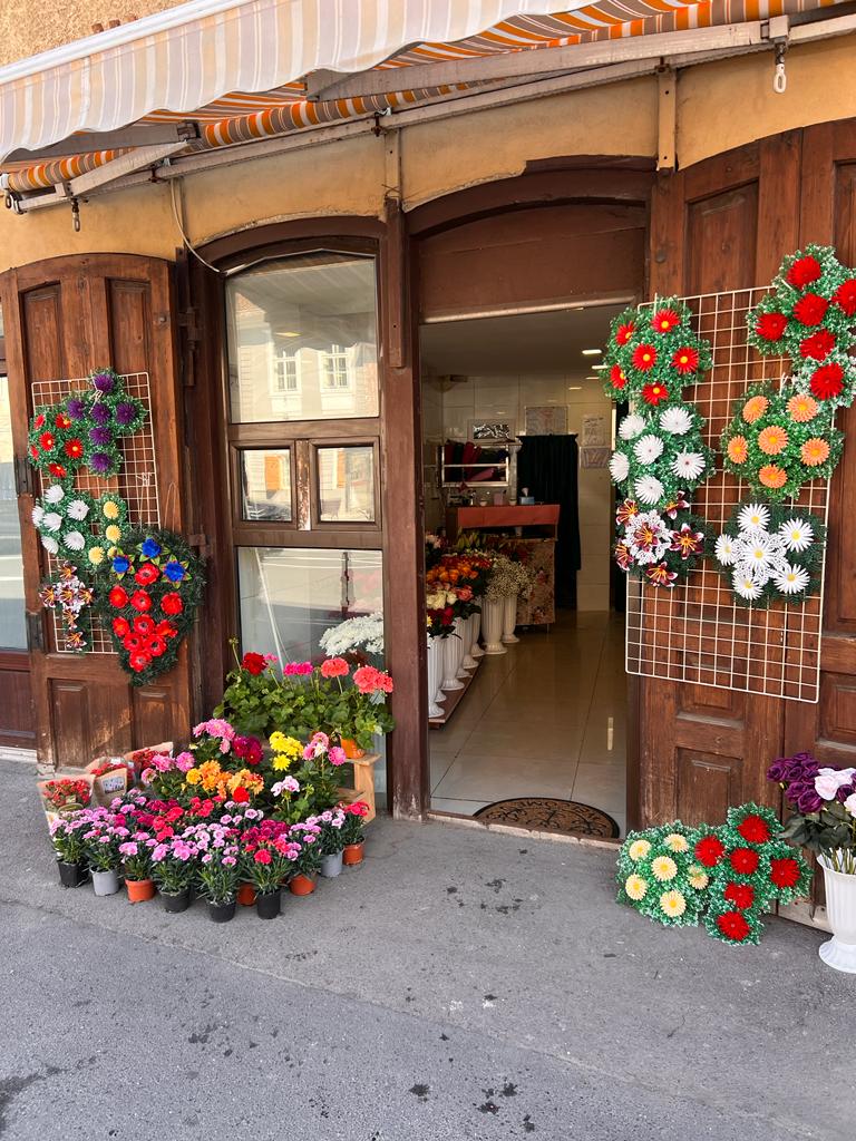 Floraria Zenayda