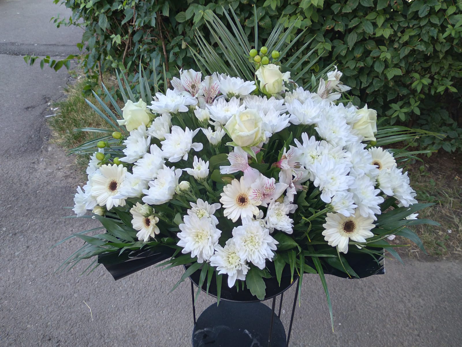 SIGA Flowers