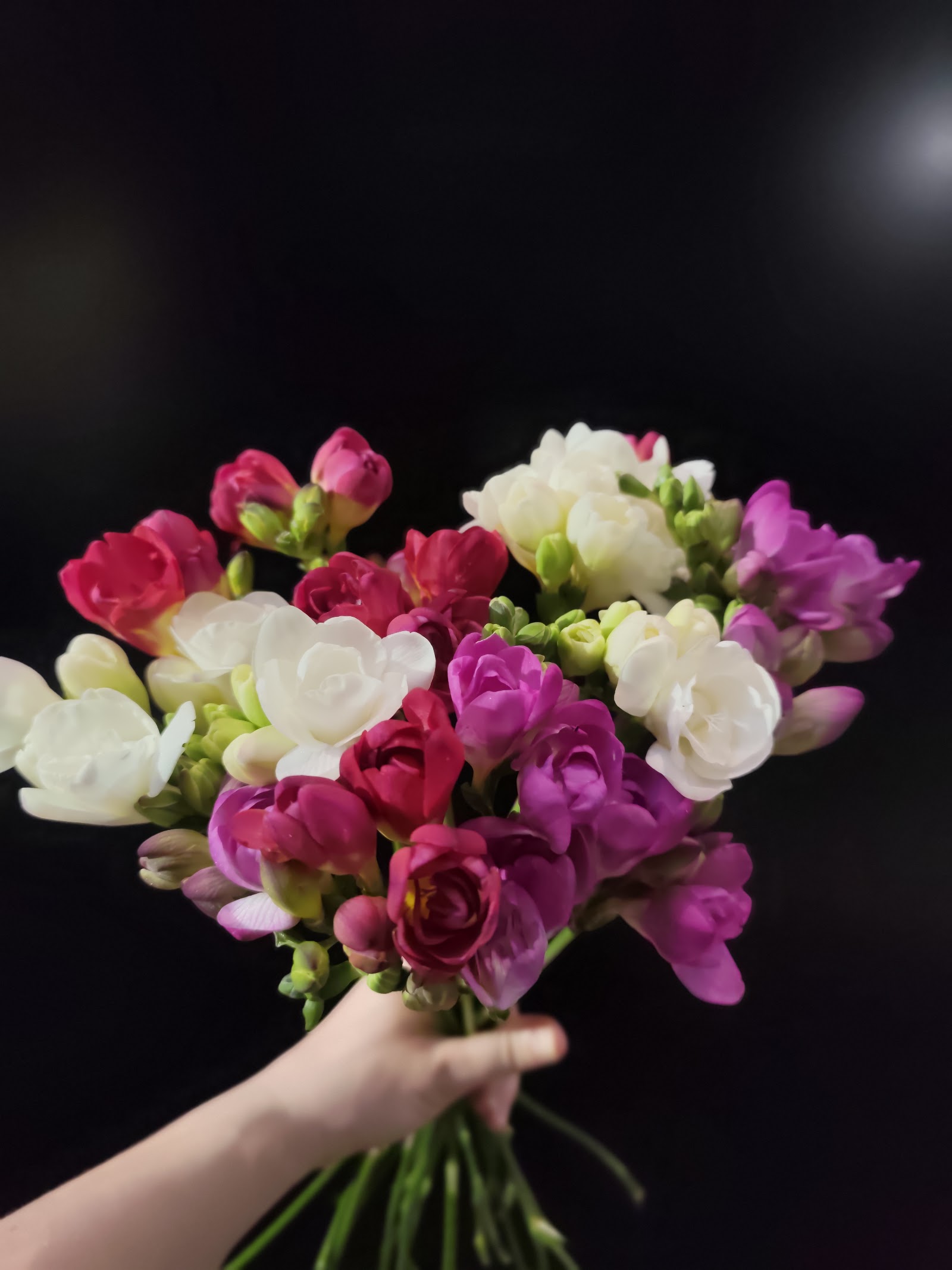 Polaris Flower Shop