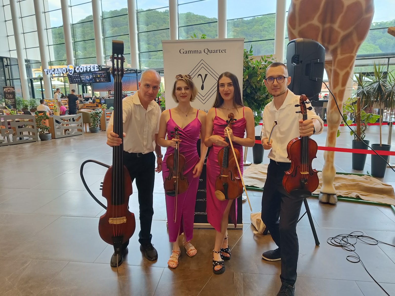 Gamma Quartet