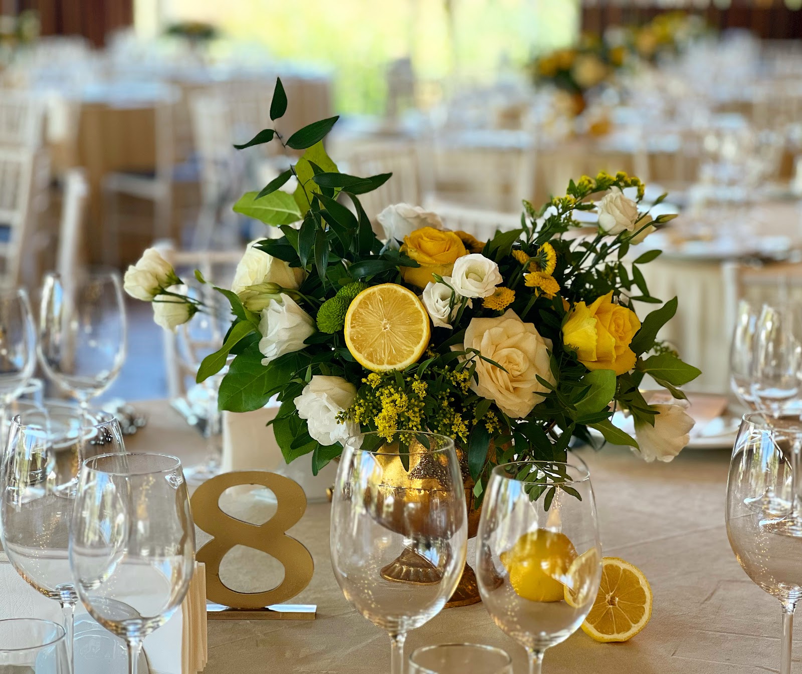 Elite Events Brasov