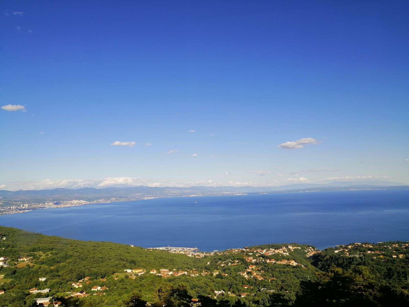 Micomis Travel & Tours