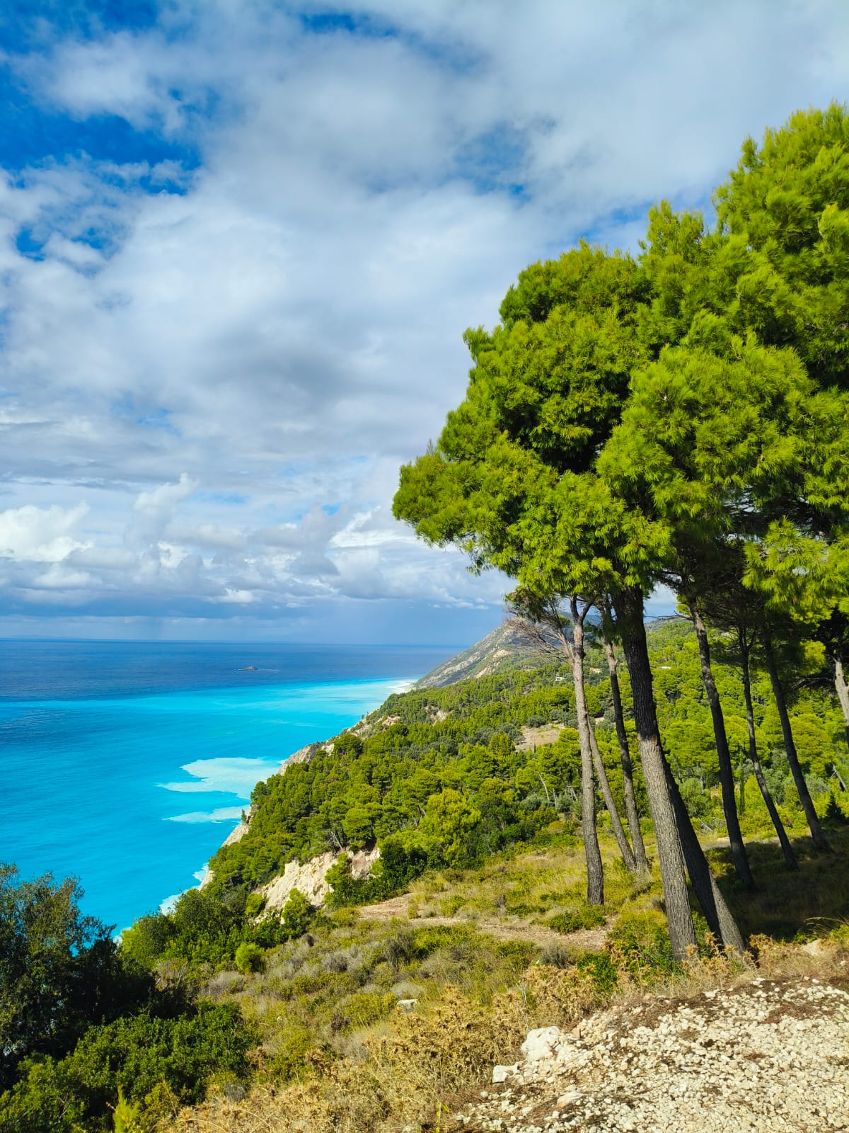 Trevo Travel