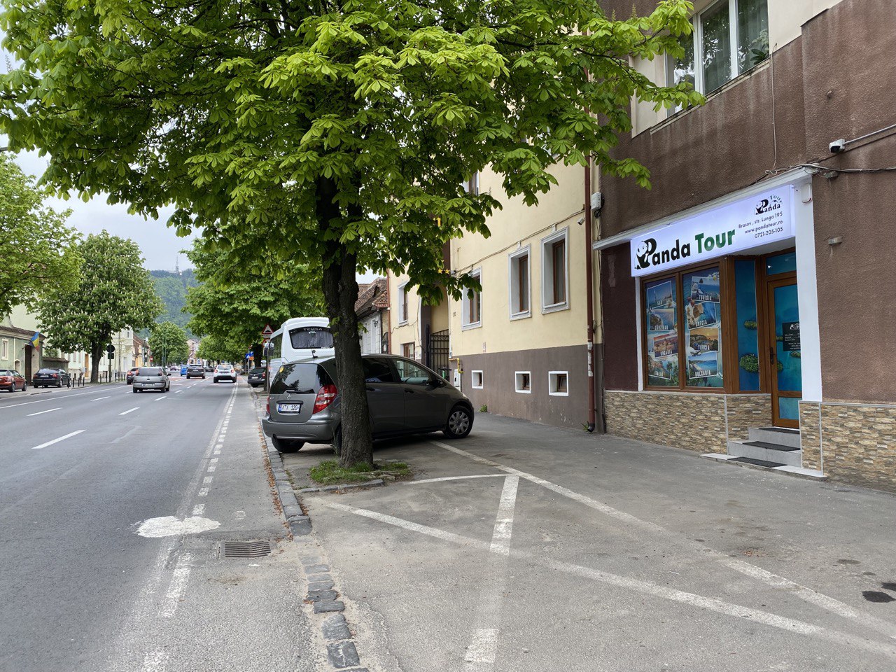 Panda Tour Filiala Brașov