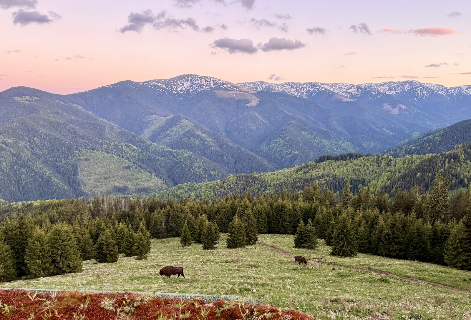 Travel Carpathia
