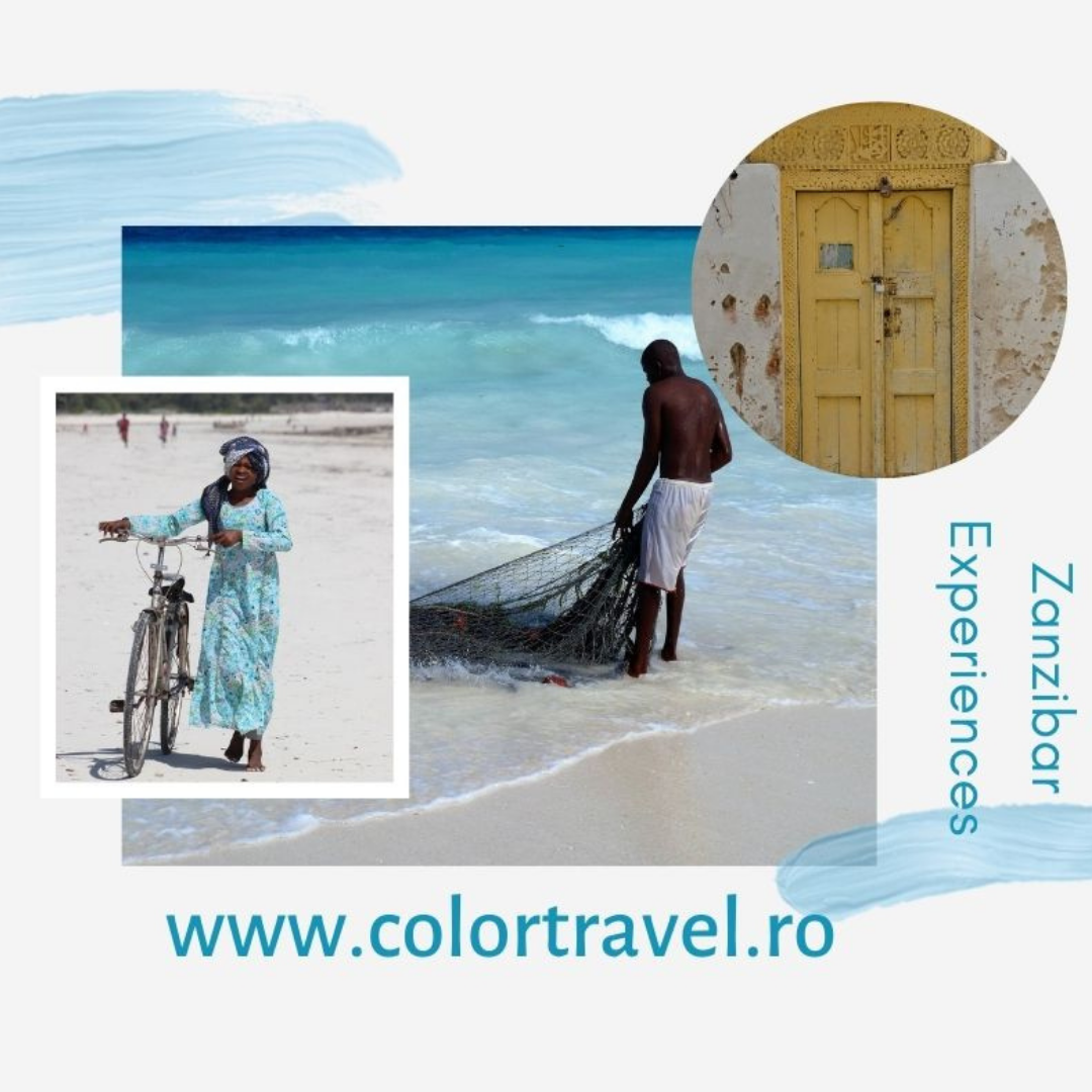 Color Travel