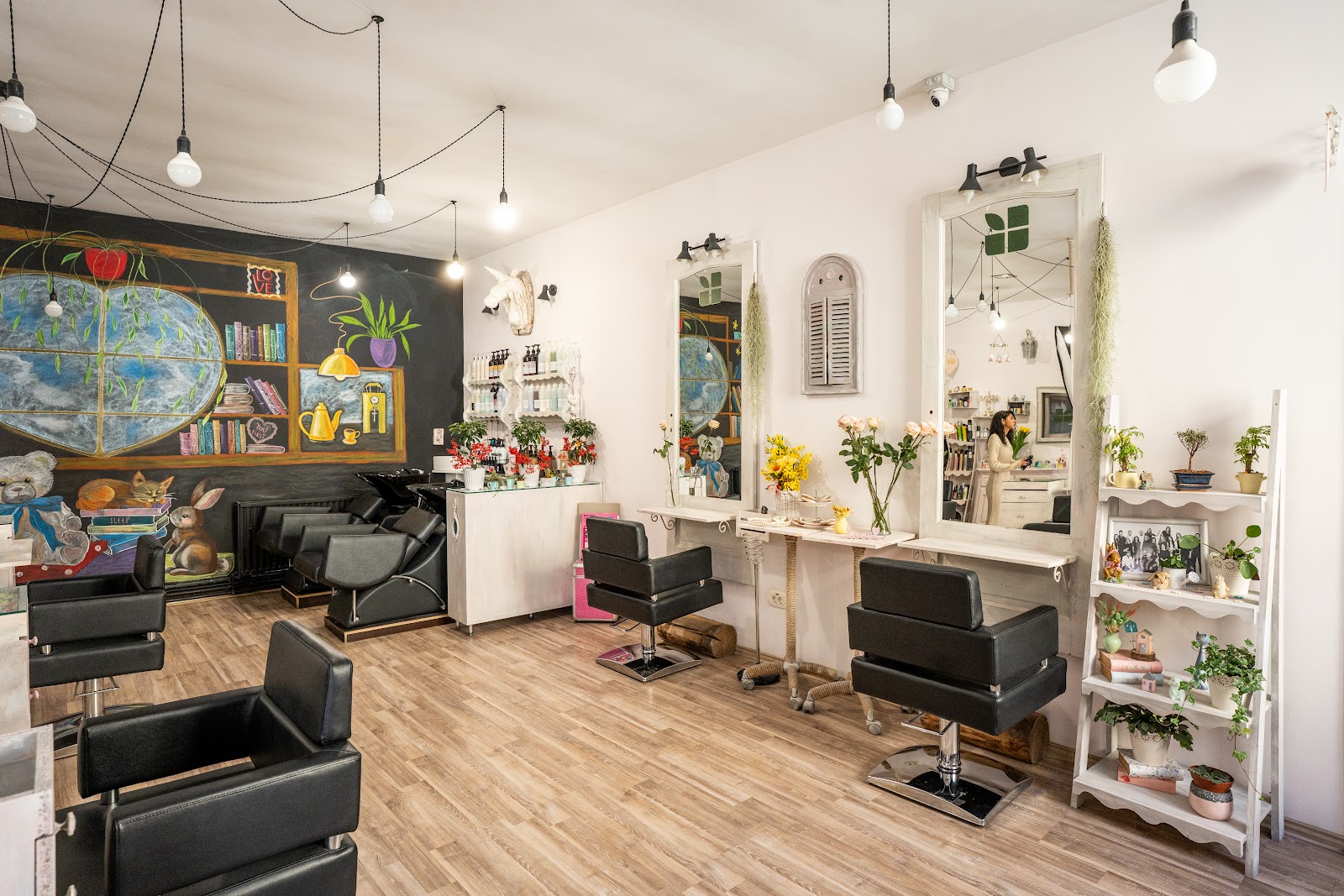 Salon Colorful