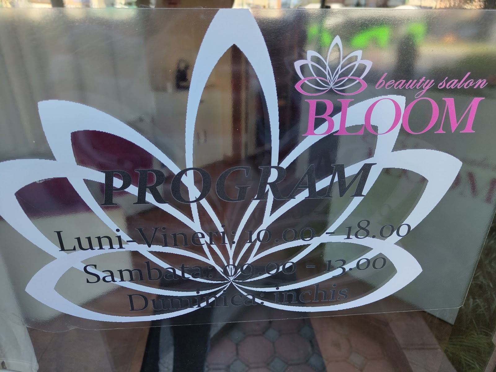 Salon Beauty Bloom