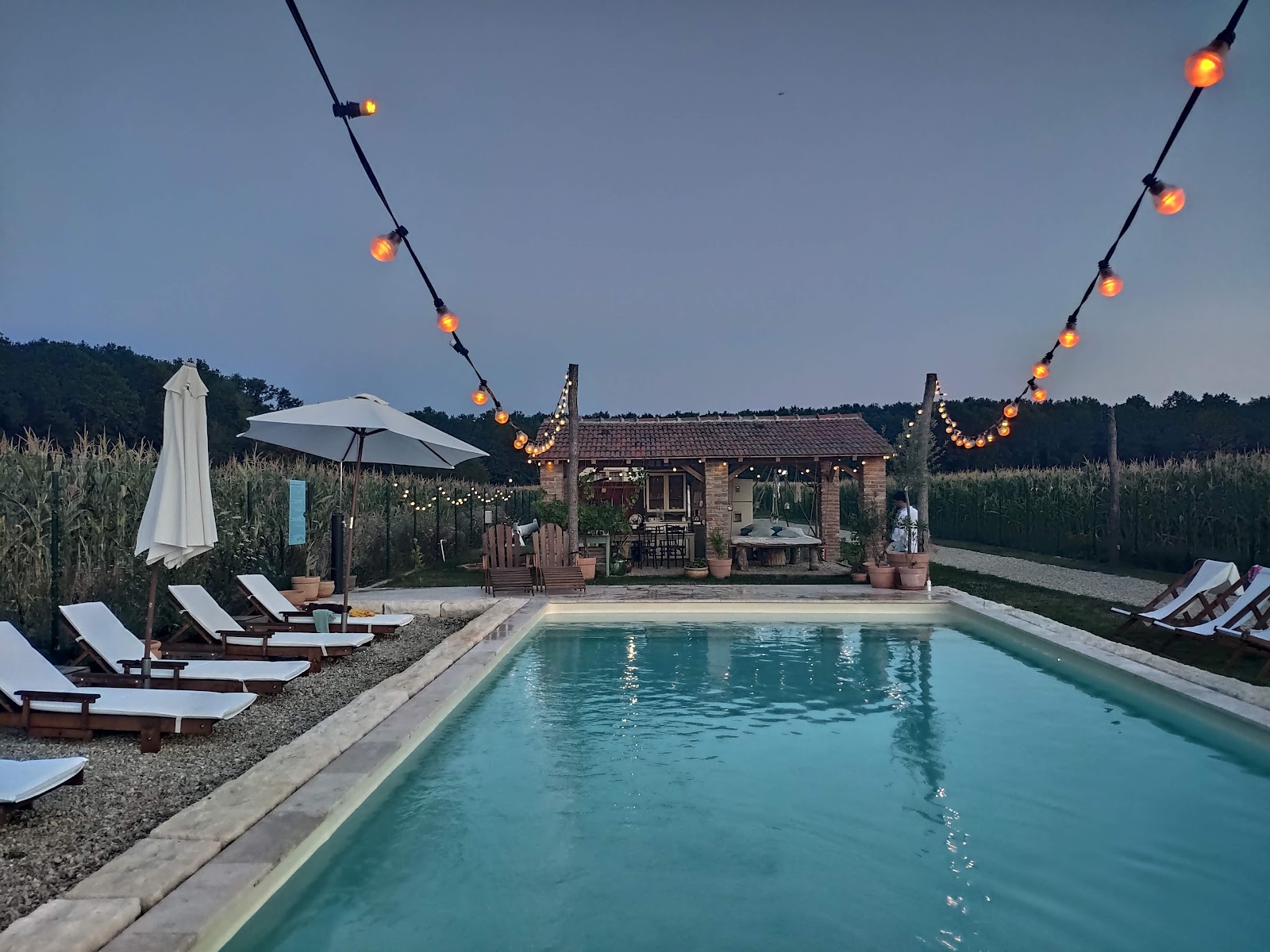 The Wedding House
