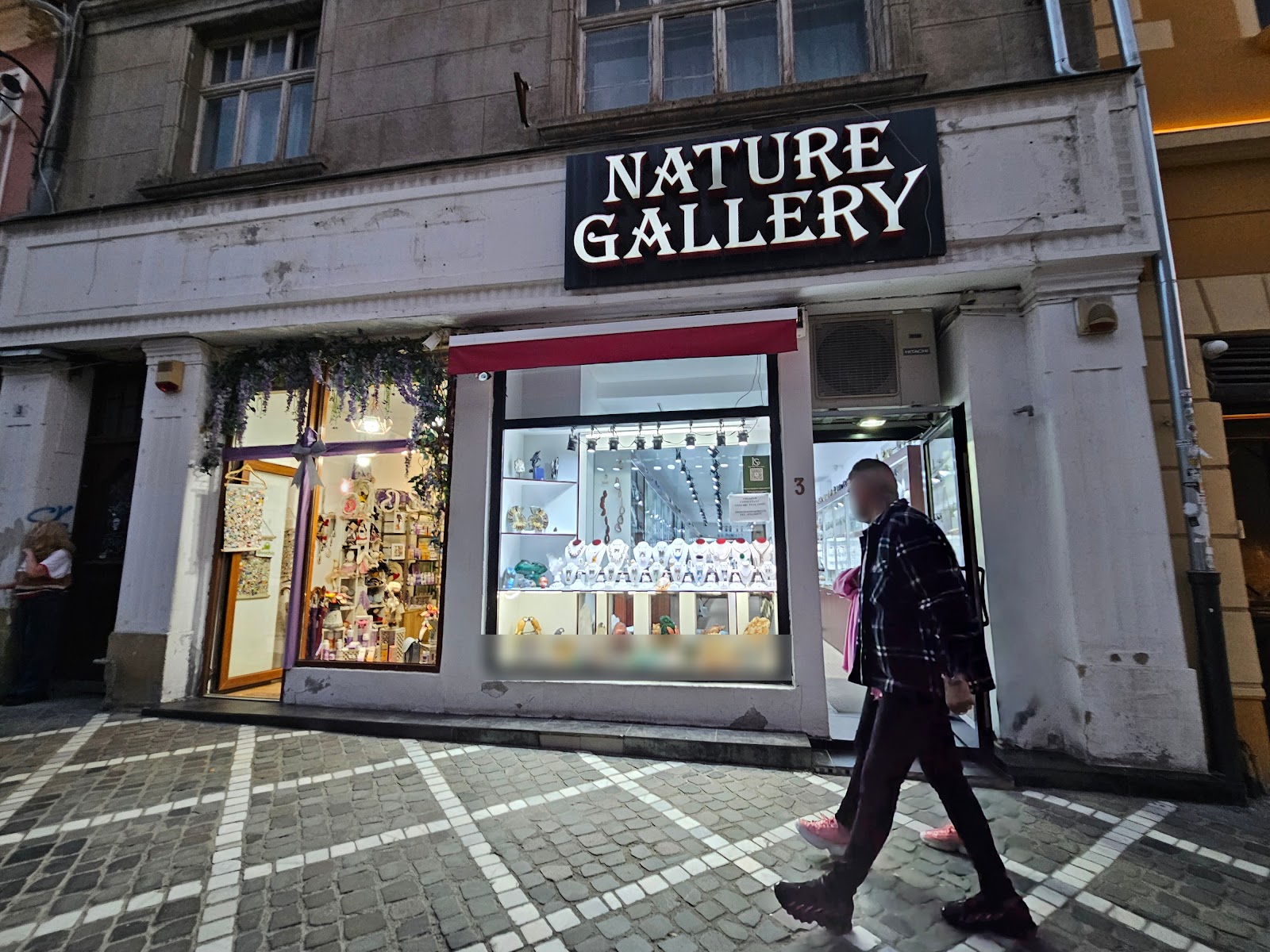 Nature Gallery