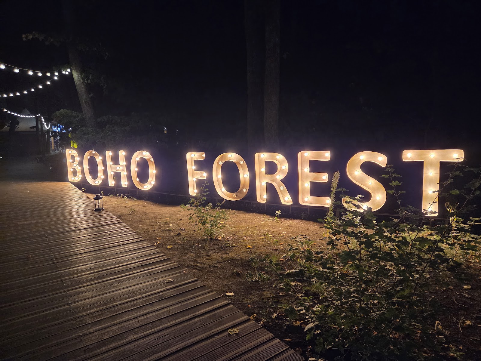 BOHO Forest