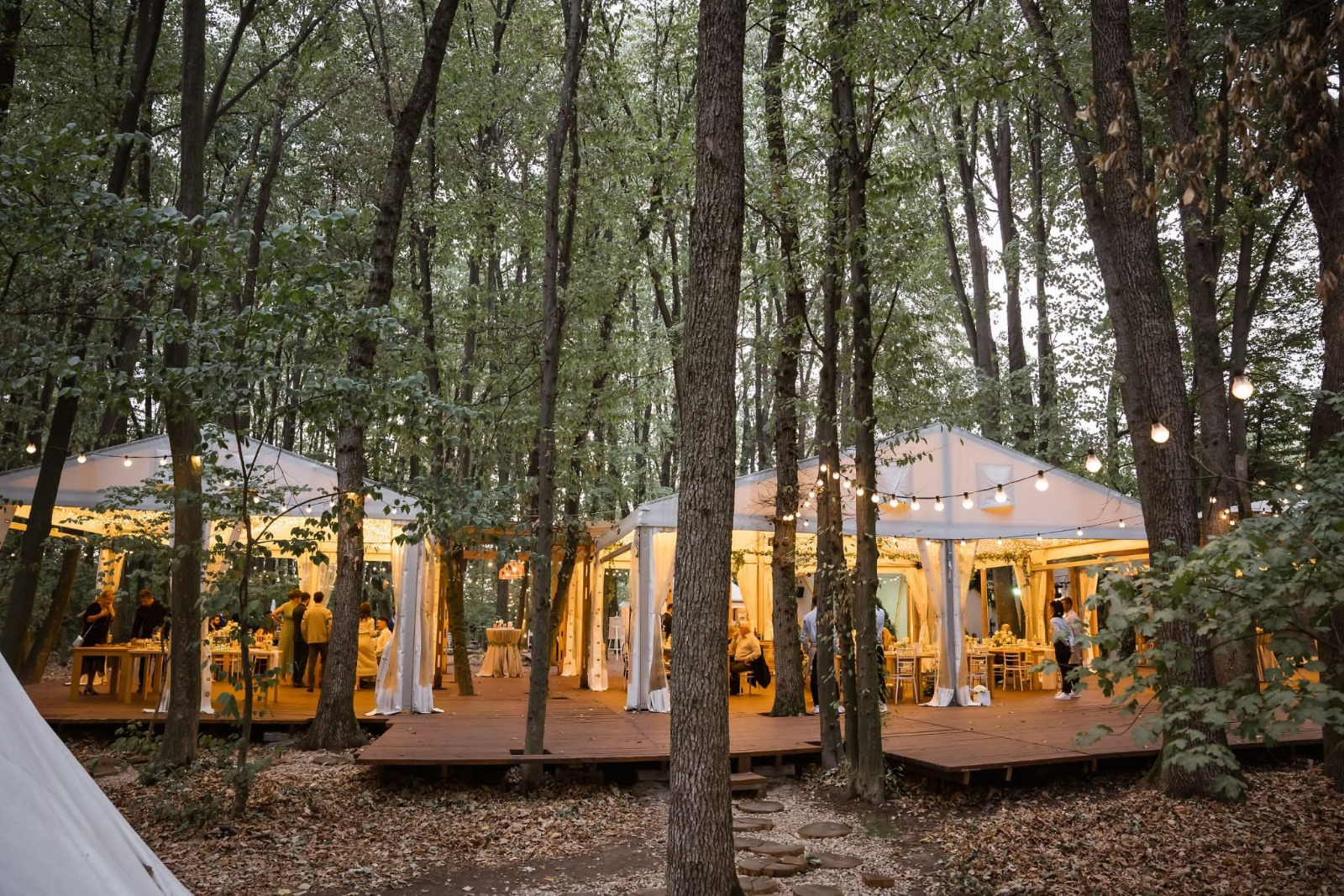 BOHO Forest
