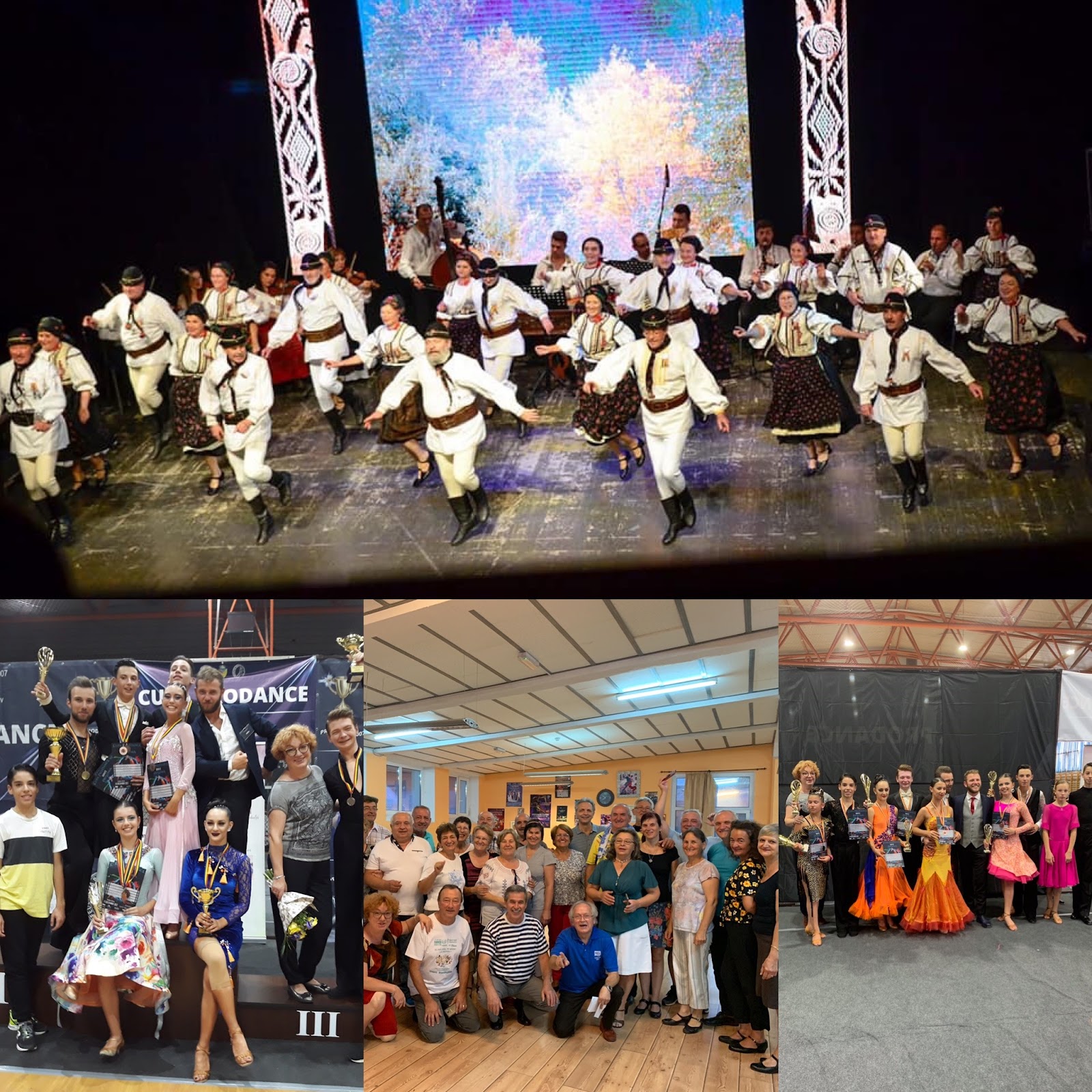 Pro Dance Studio Brasov