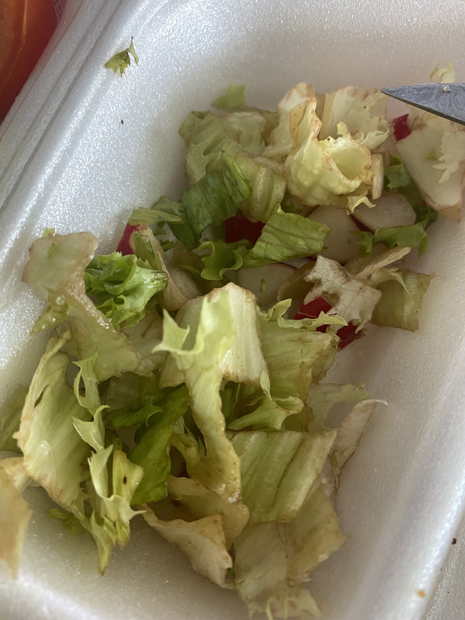 BUN BUN FOOD SERVICE SRL
