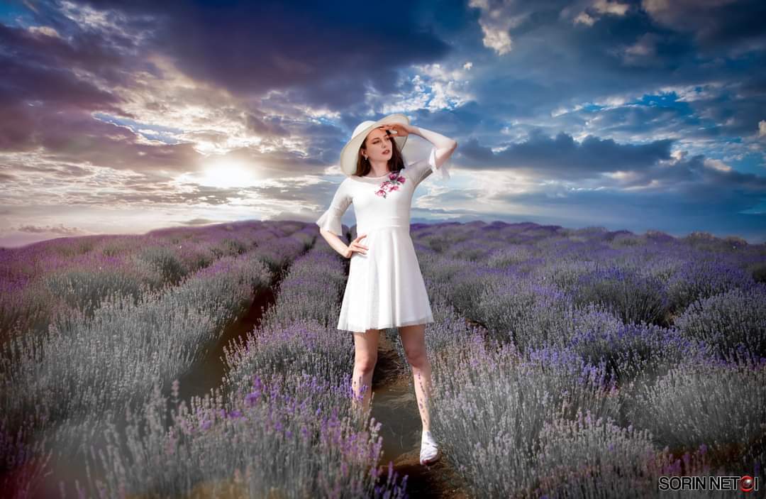Sorin Netoi Photography