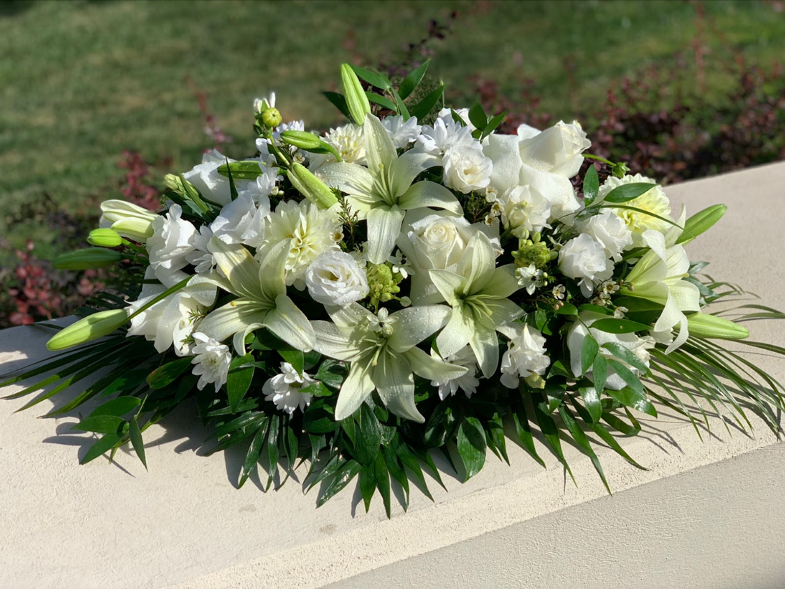 FLORARIA BELLEVENTS