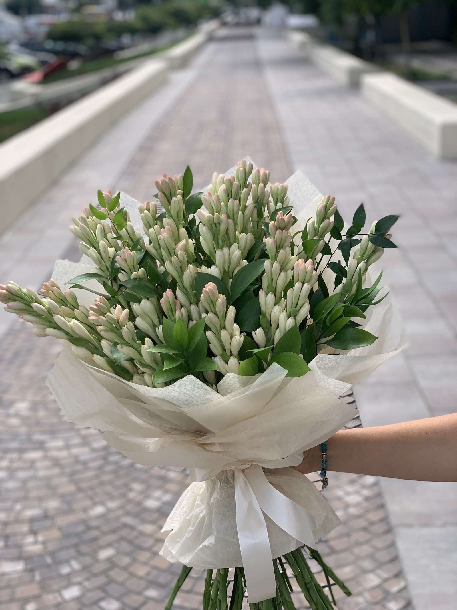 FLORARIA BELLEVENTS