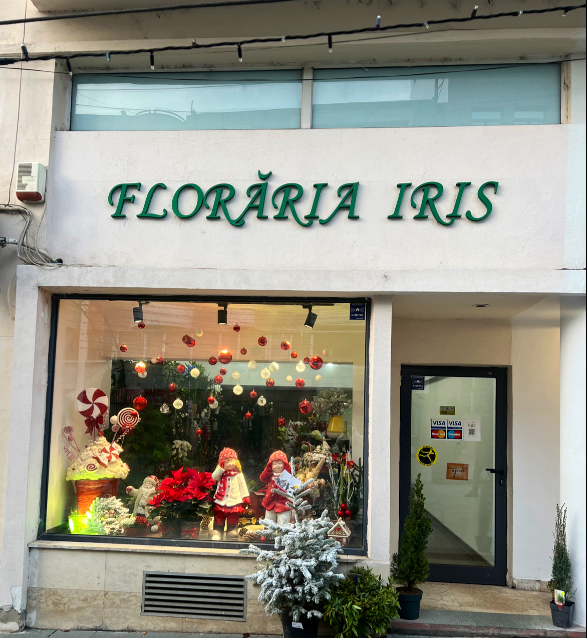 Iris Flower Shop