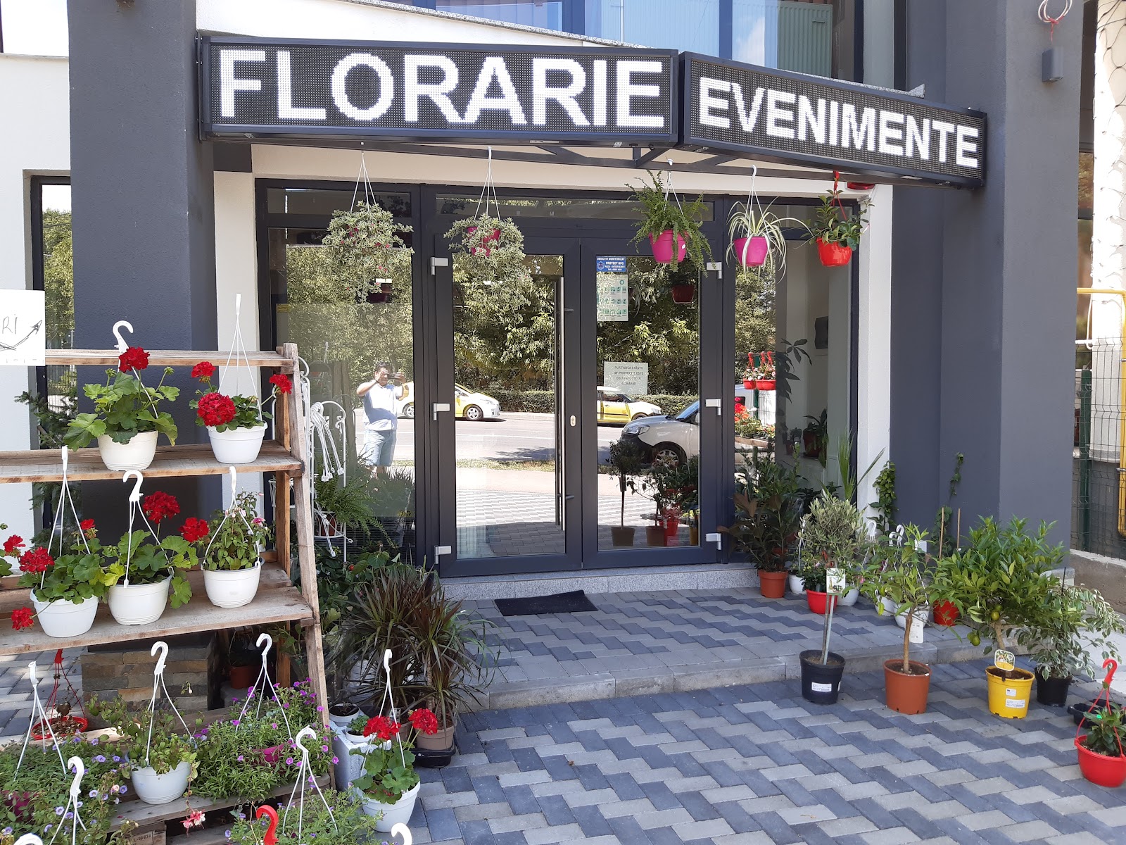 Livrare flori si cadouri raftulcucadouri