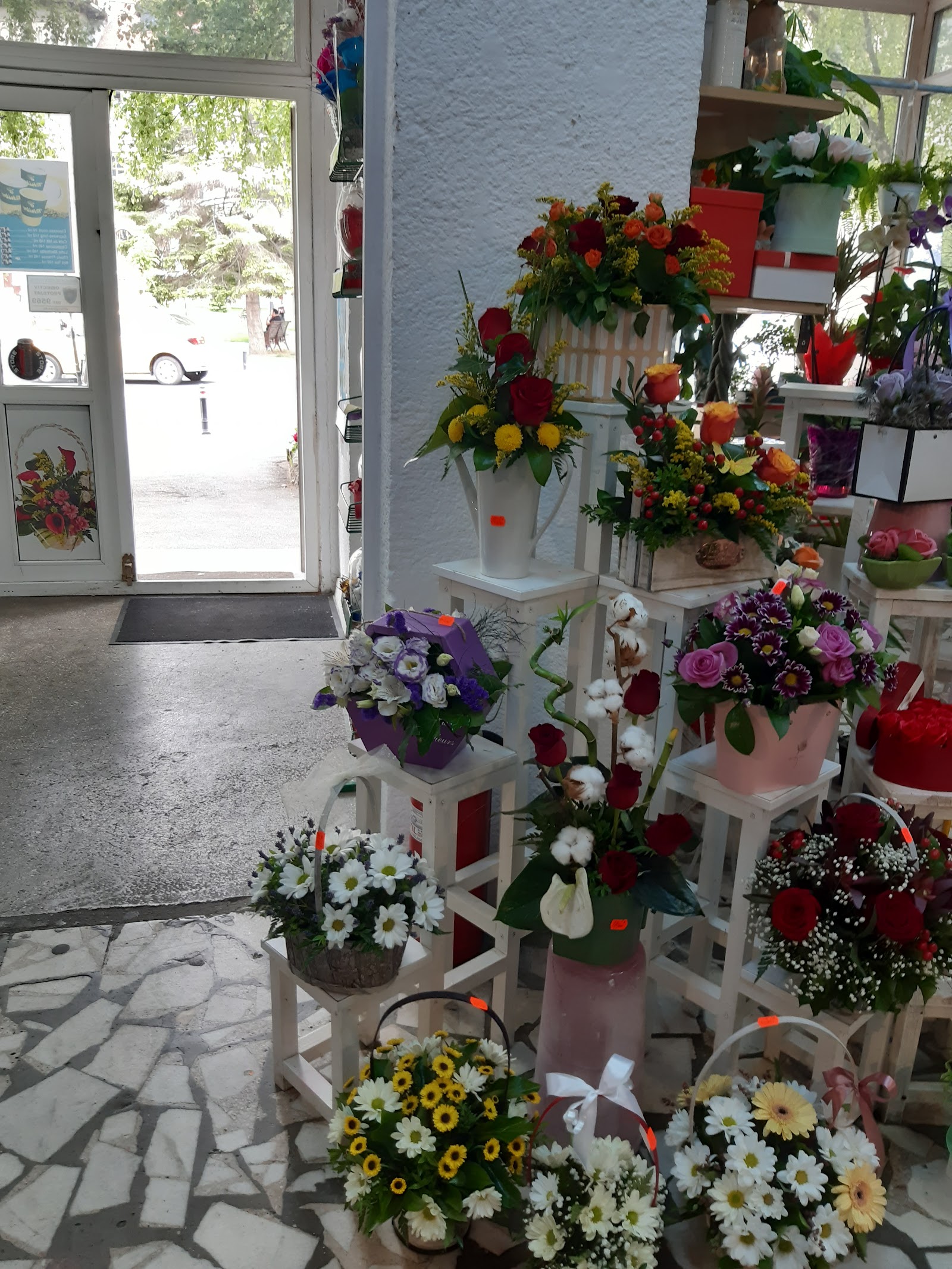 FLORARIA FLORI DE MAI D&T SRL