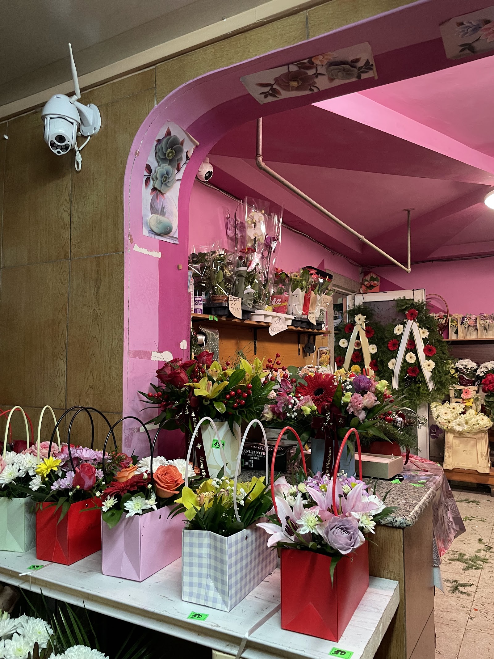 Floraria Nela
