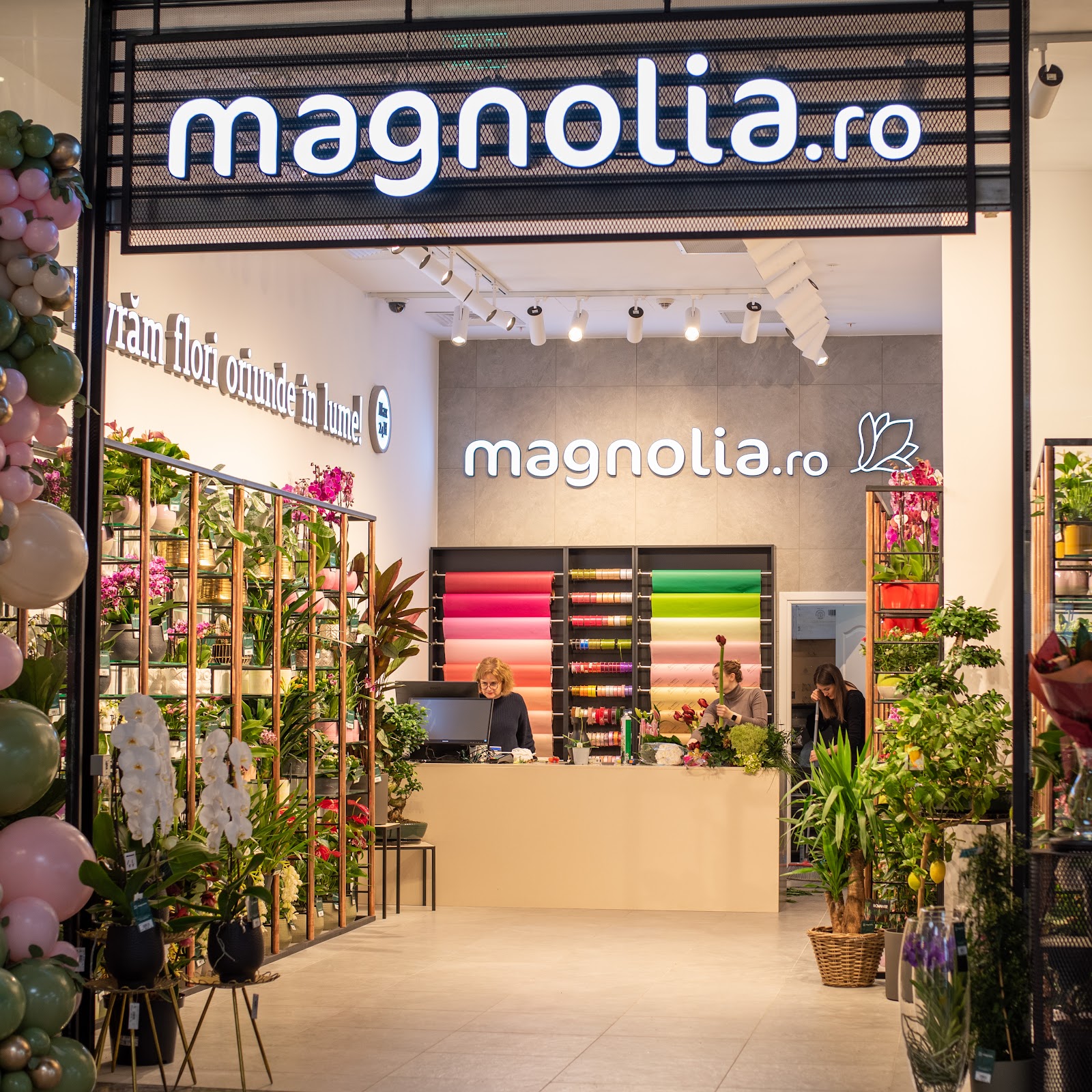 Florăria Magnolia - Electroputere Mall Craiova