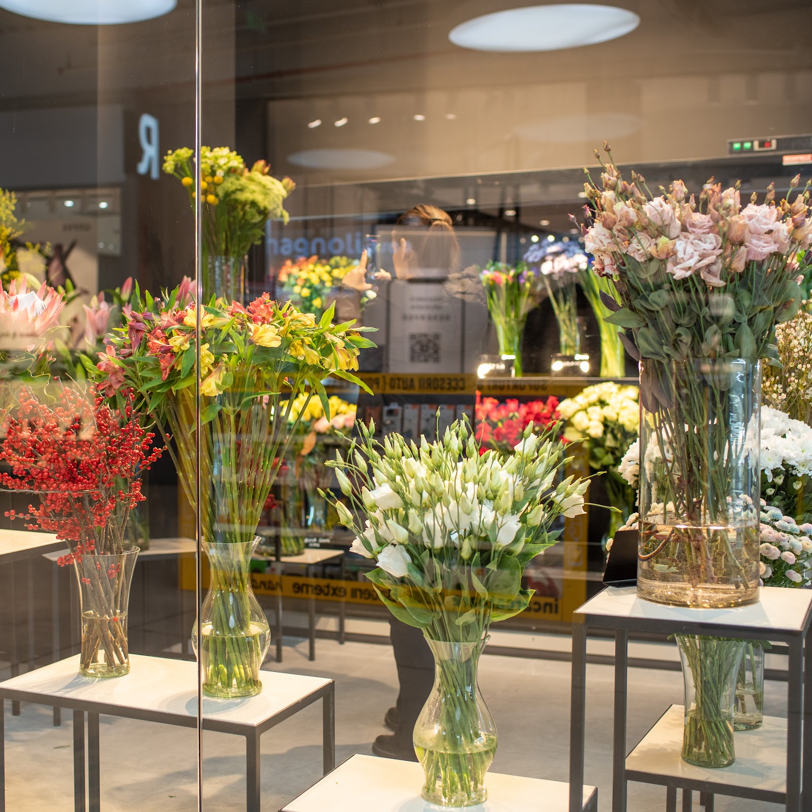 Florăria Magnolia - Electroputere Mall Craiova
