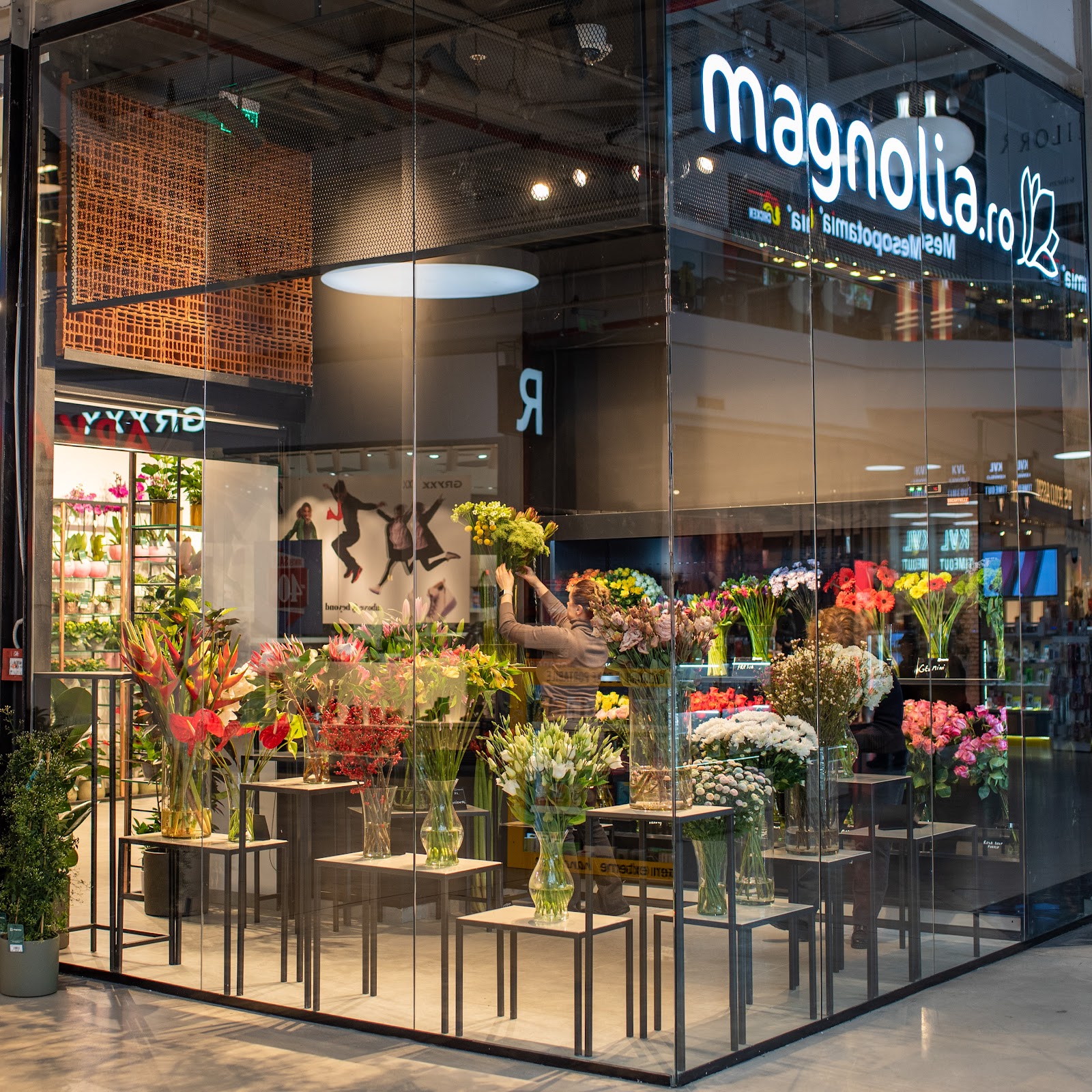 Florăria Magnolia - Electroputere Mall Craiova