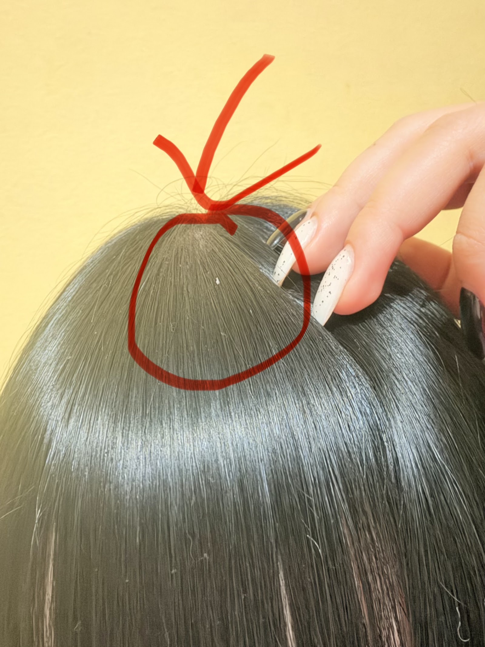 Magnetic Salon