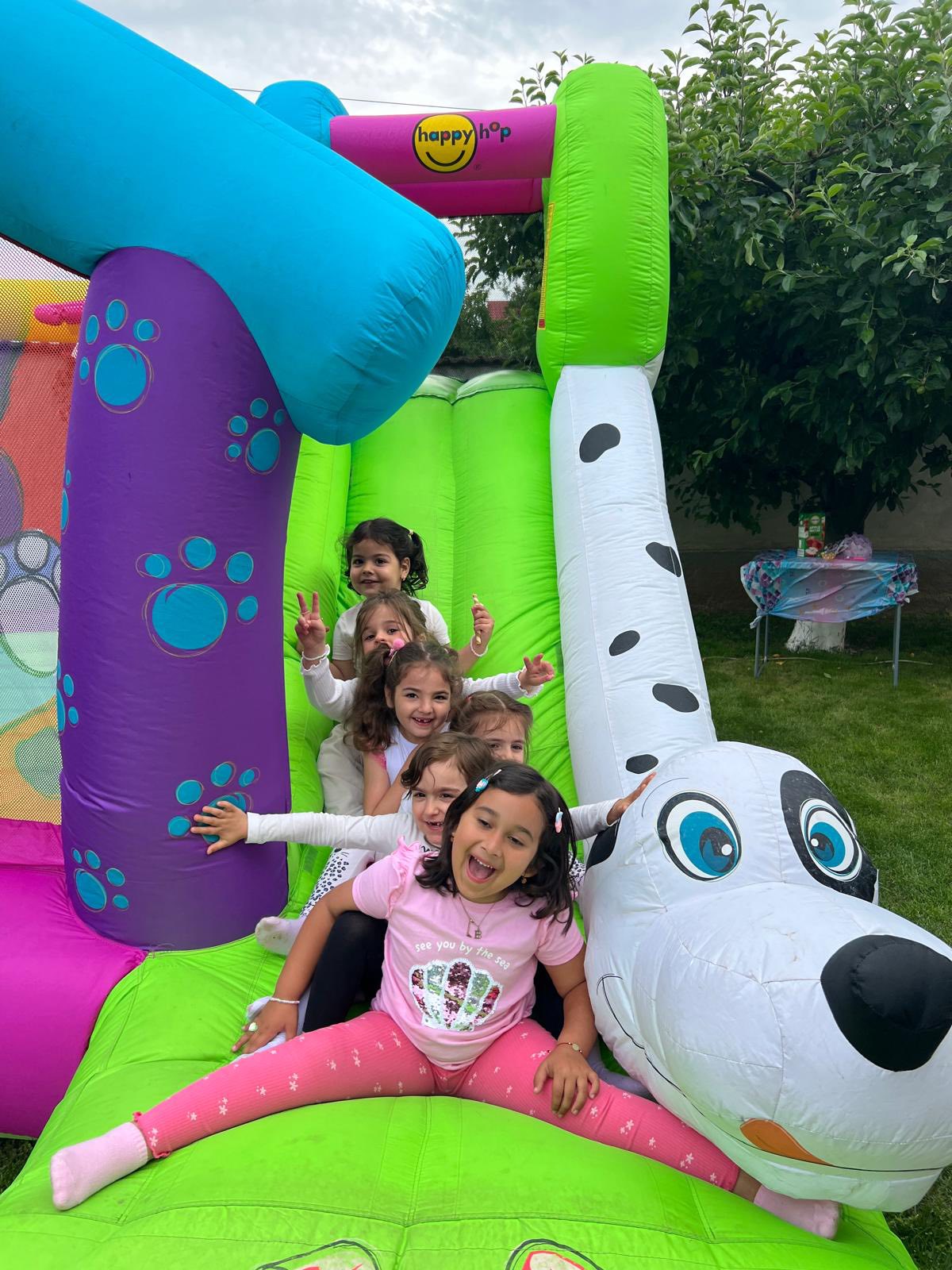 PARTY PICI ANIMATIE