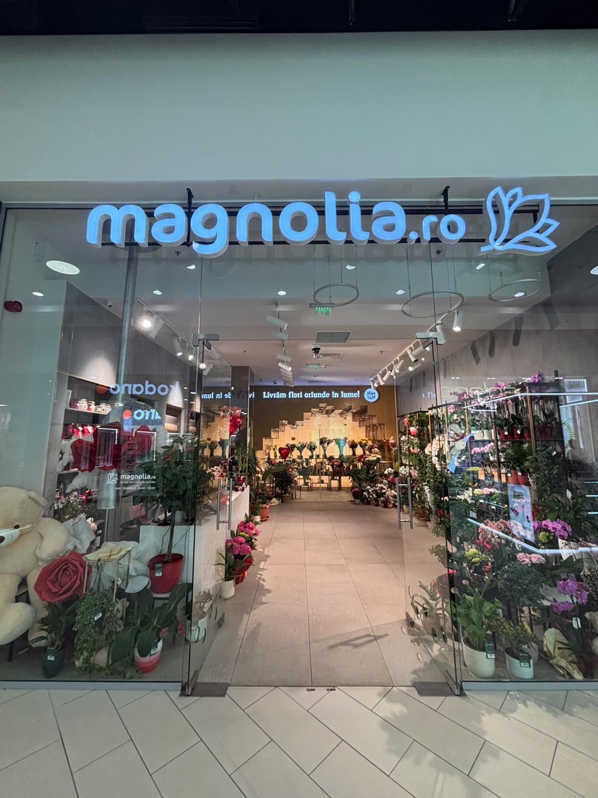 Florăria Magnolia Galați (B-dul George Coșbuc)