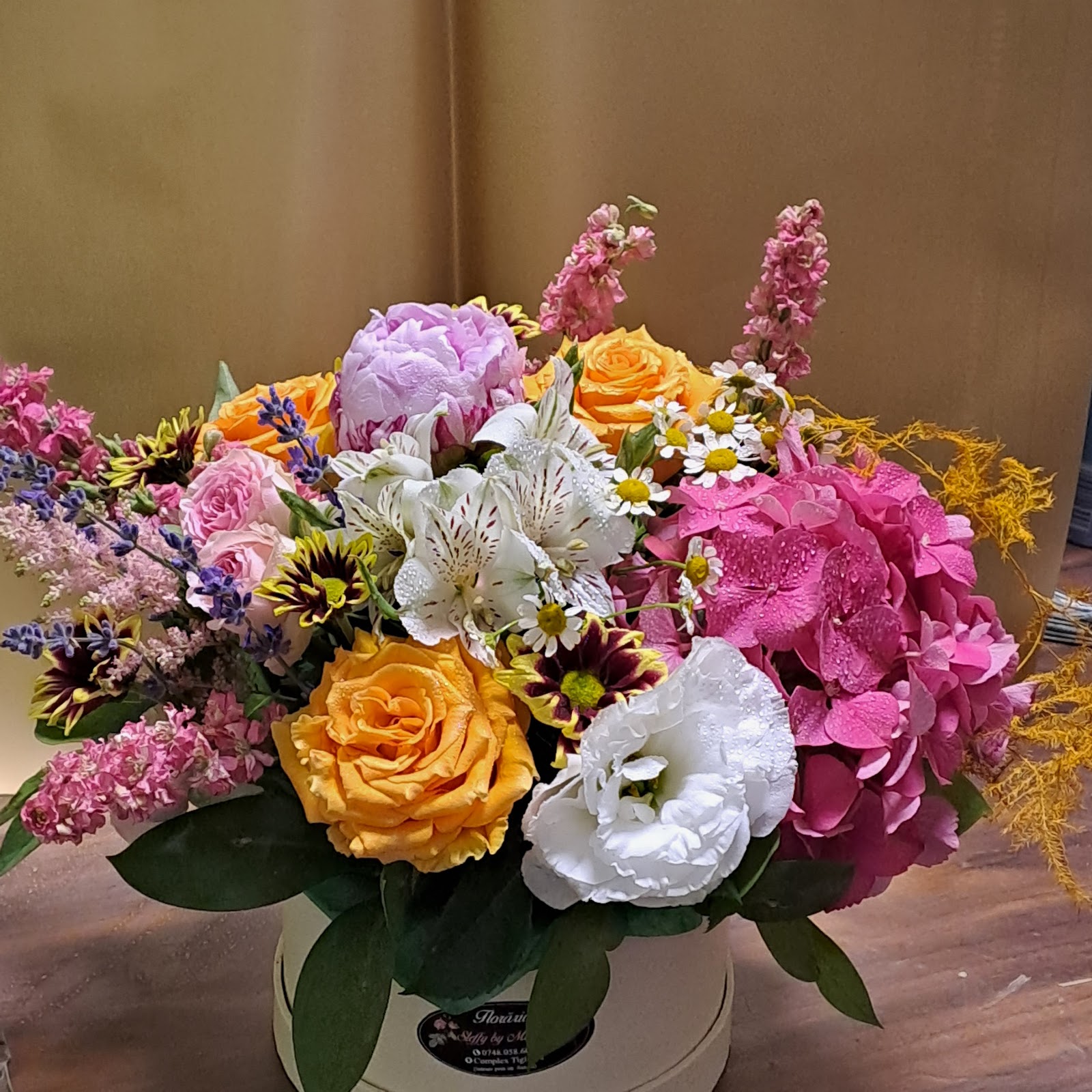 Floraria Steffy by Magda