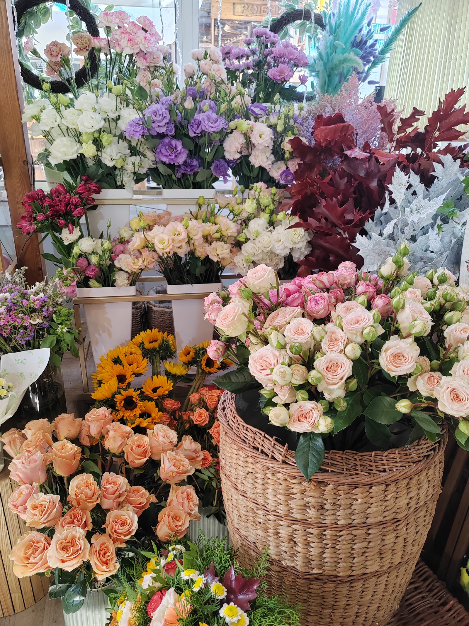 Stephanie Fleurs